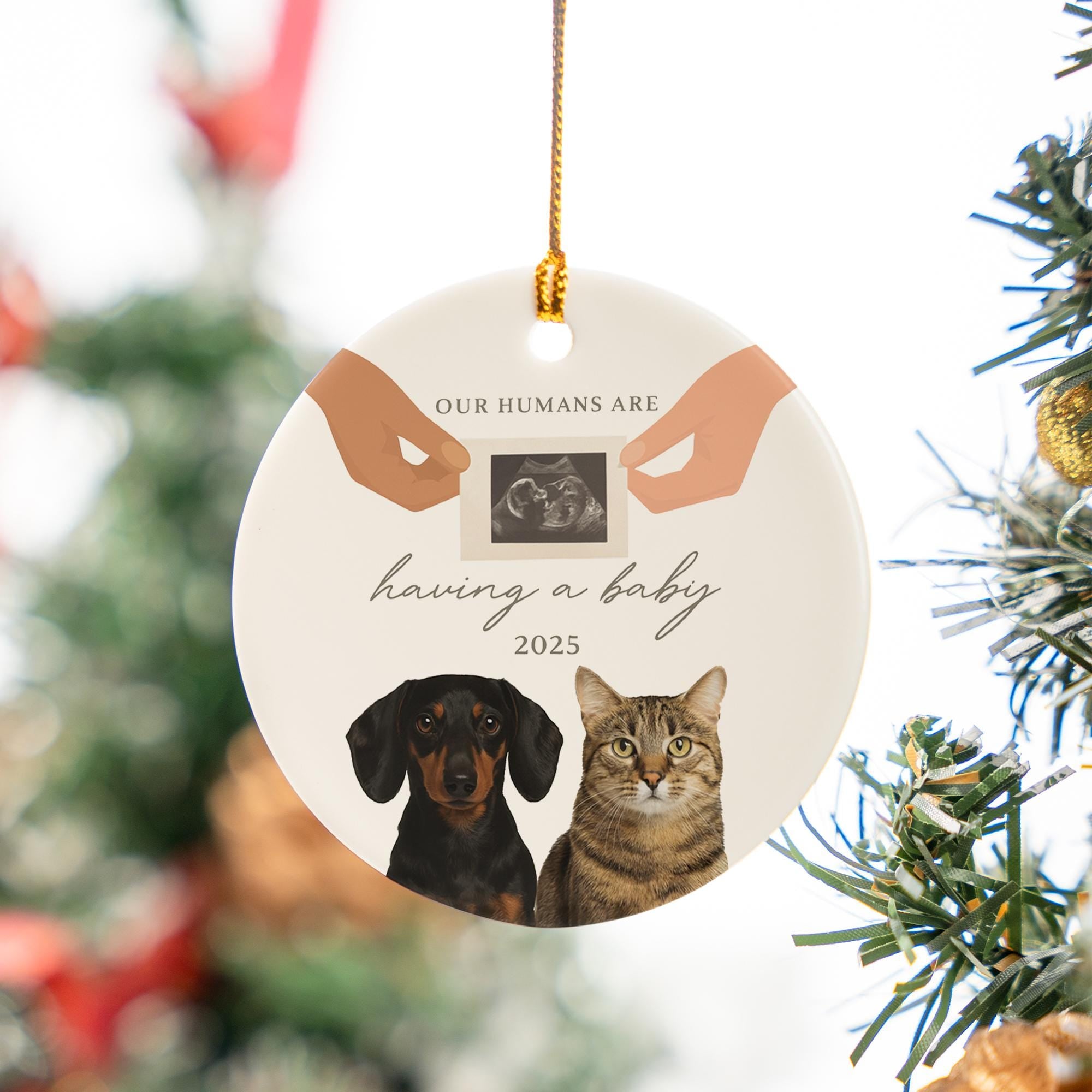 Personalized Ceramic Ornament, Pet Pregnancy Announcement Design, Custom Year Round Christmas Decoration