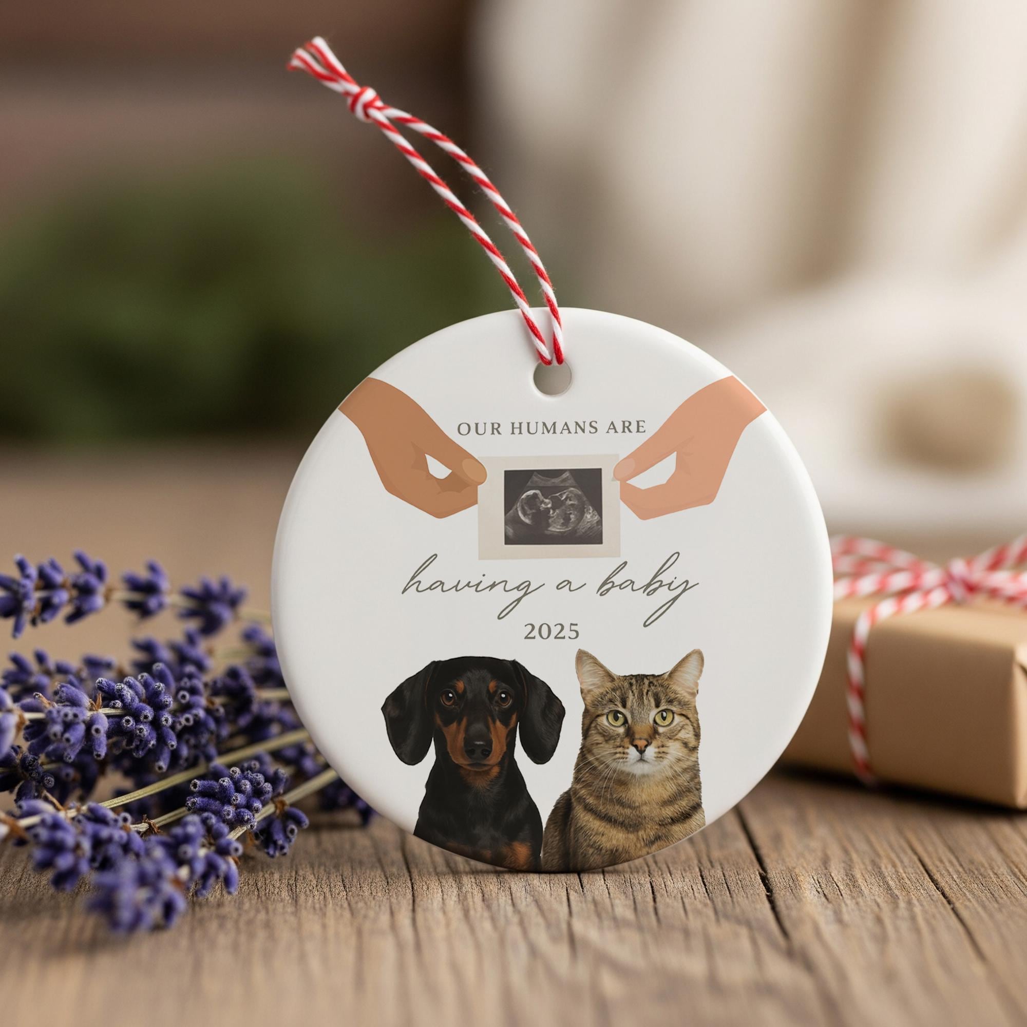 Personalized Ceramic Ornament, Pet Pregnancy Announcement Design, Custom Year Round Christmas Decoration