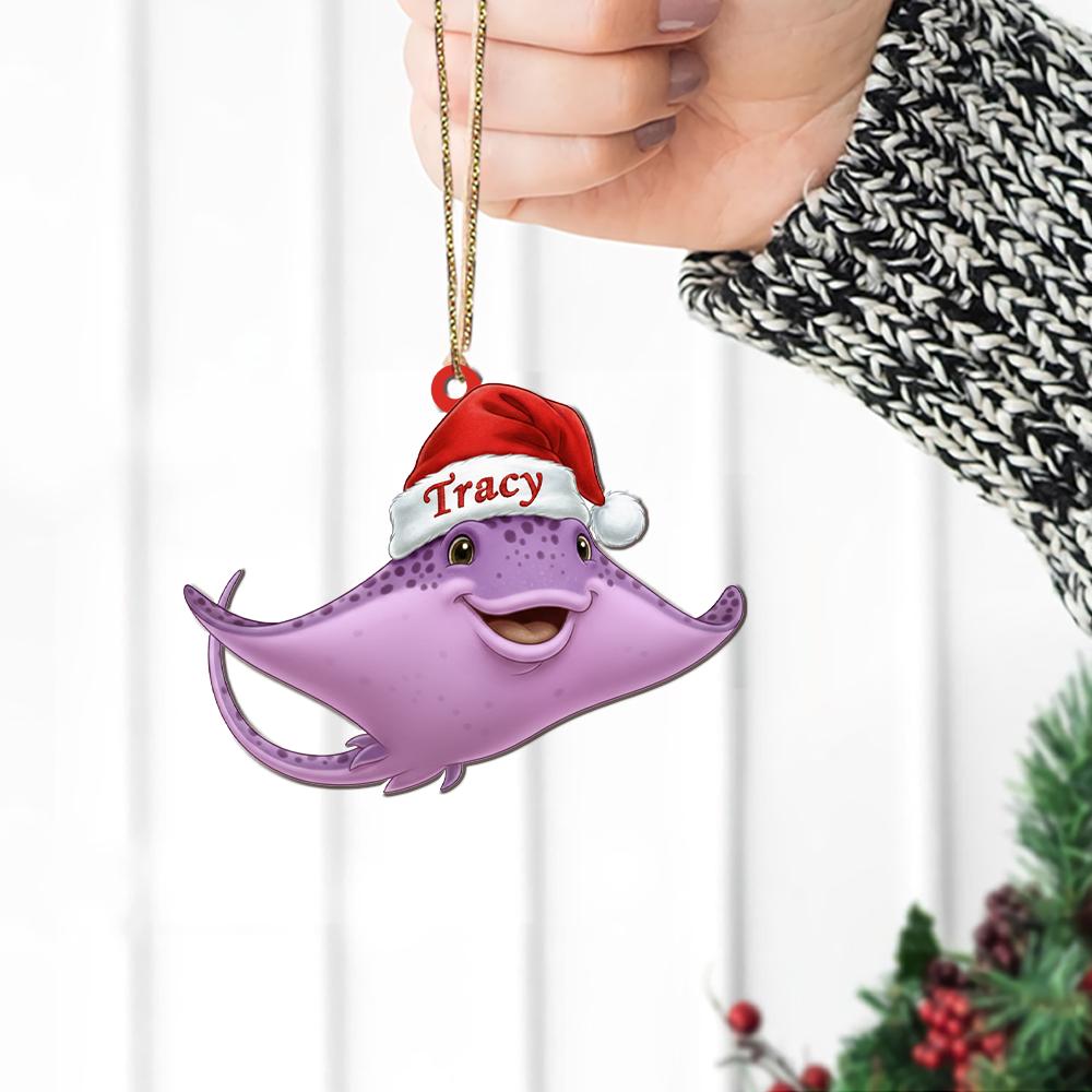 Personalized Ray Ornament – Acrylic Christmas Ornament with Name