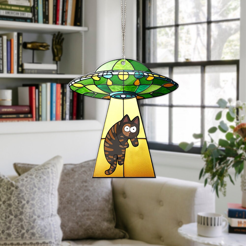 UFO With A Cat ACRYLIC window hanging, silly cat hanging, Home decoration, NOT suncatcher, Gift For Her