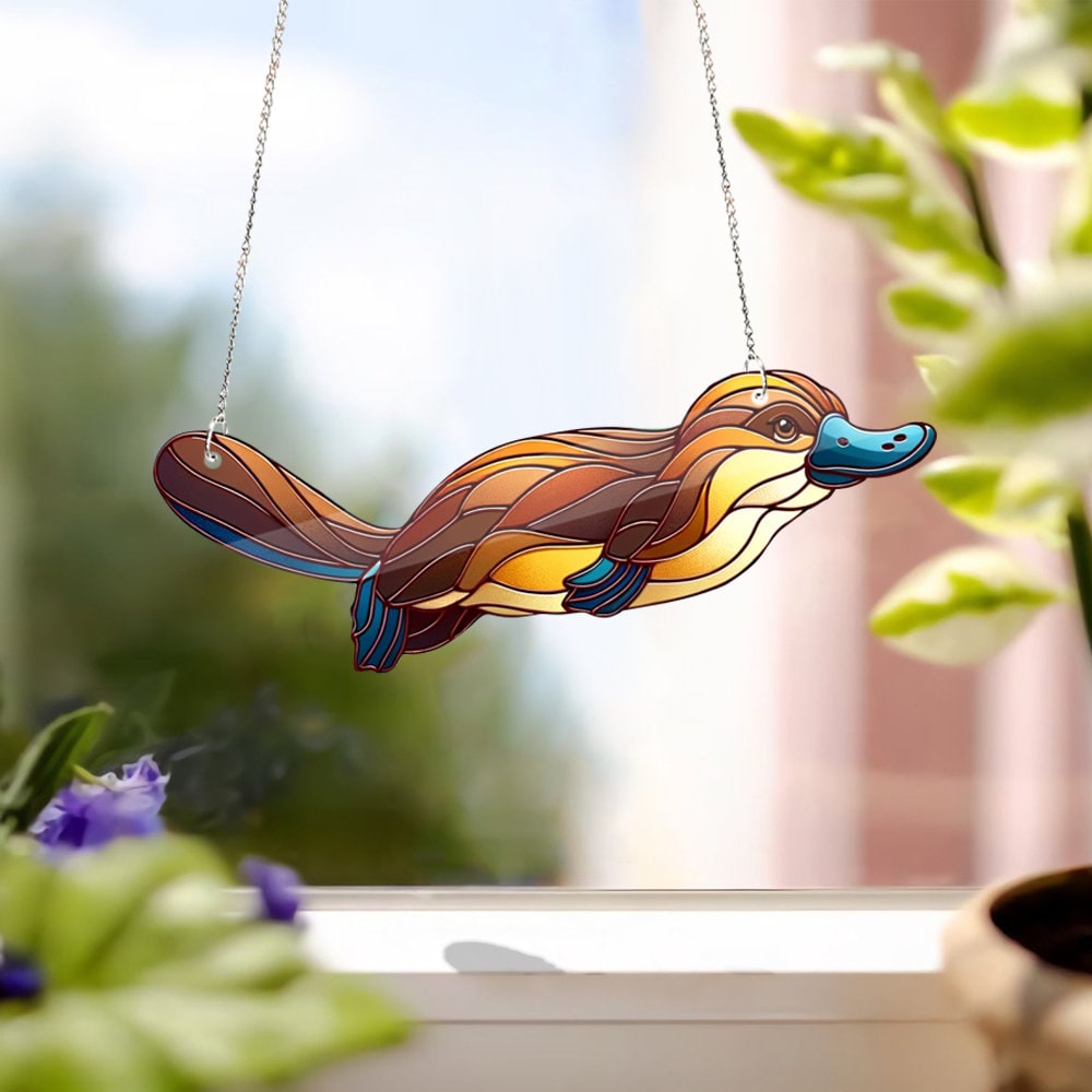 Platypus Acrylic Window Hanging, Platypus lovers gift, Animal lover, Mothers day gift, faux stained glass, gift for mom, Funny Platypus