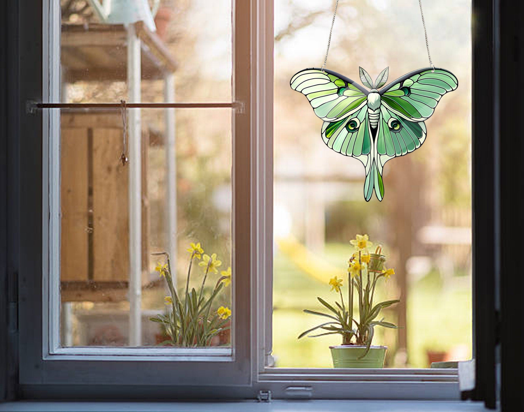 Spanish Moon Moth ACRYLIC Window Decor, Butterfly Lover Gift, Mother's Day Gift, Gift For Mom, Mama Gift, Insect Home Decor, Butterfly Gift