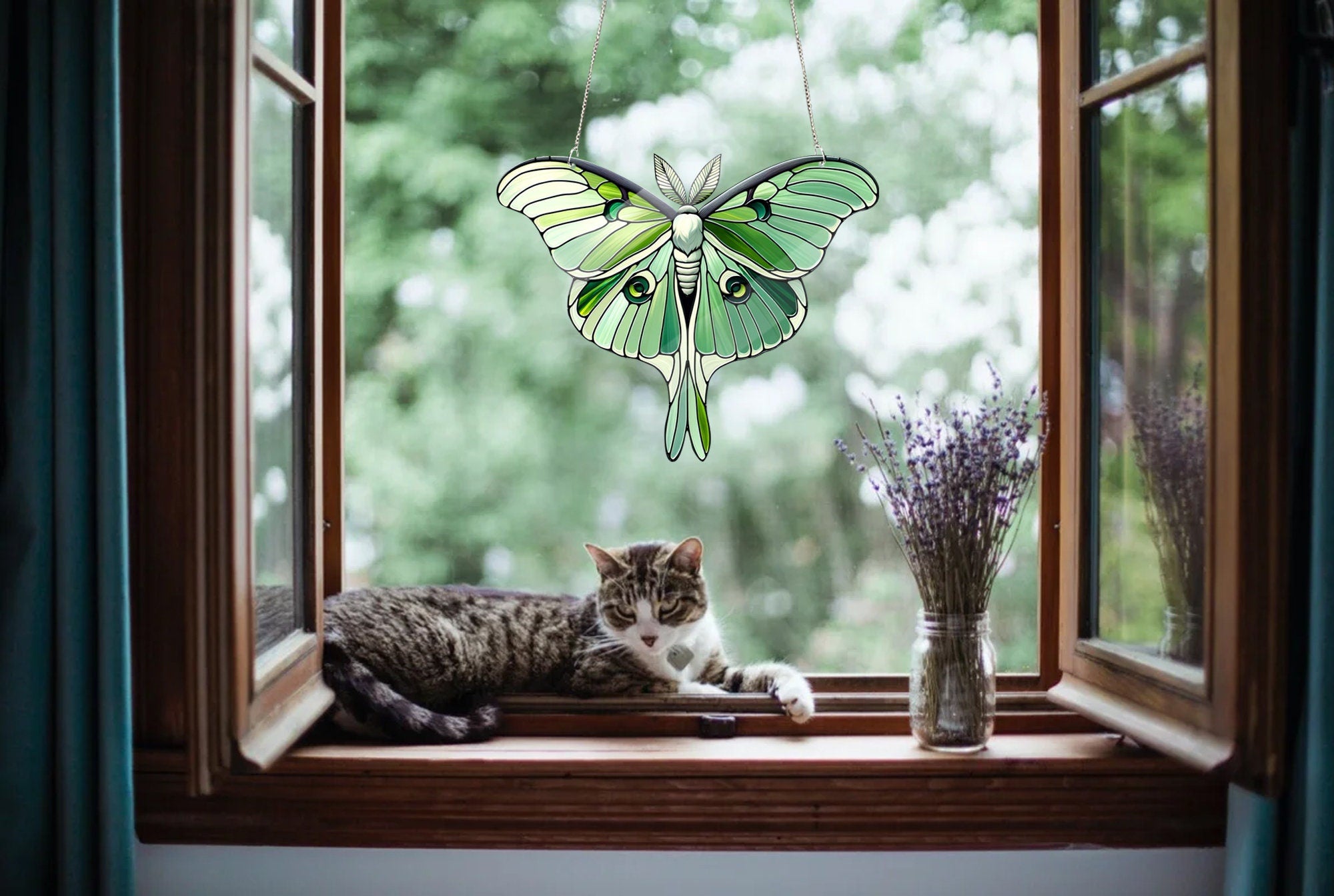 Spanish Moon Moth ACRYLIC Window Decor, Butterfly Lover Gift, Mother's Day Gift, Gift For Mom, Mama Gift, Insect Home Decor, Butterfly Gift