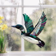 Flying Loon Bird ACRYLIC Window Hanging, Wall Art, acrylic Window Hanging, Bird lovers, Kitchen decoration, Bird nerd, Not suncatcher