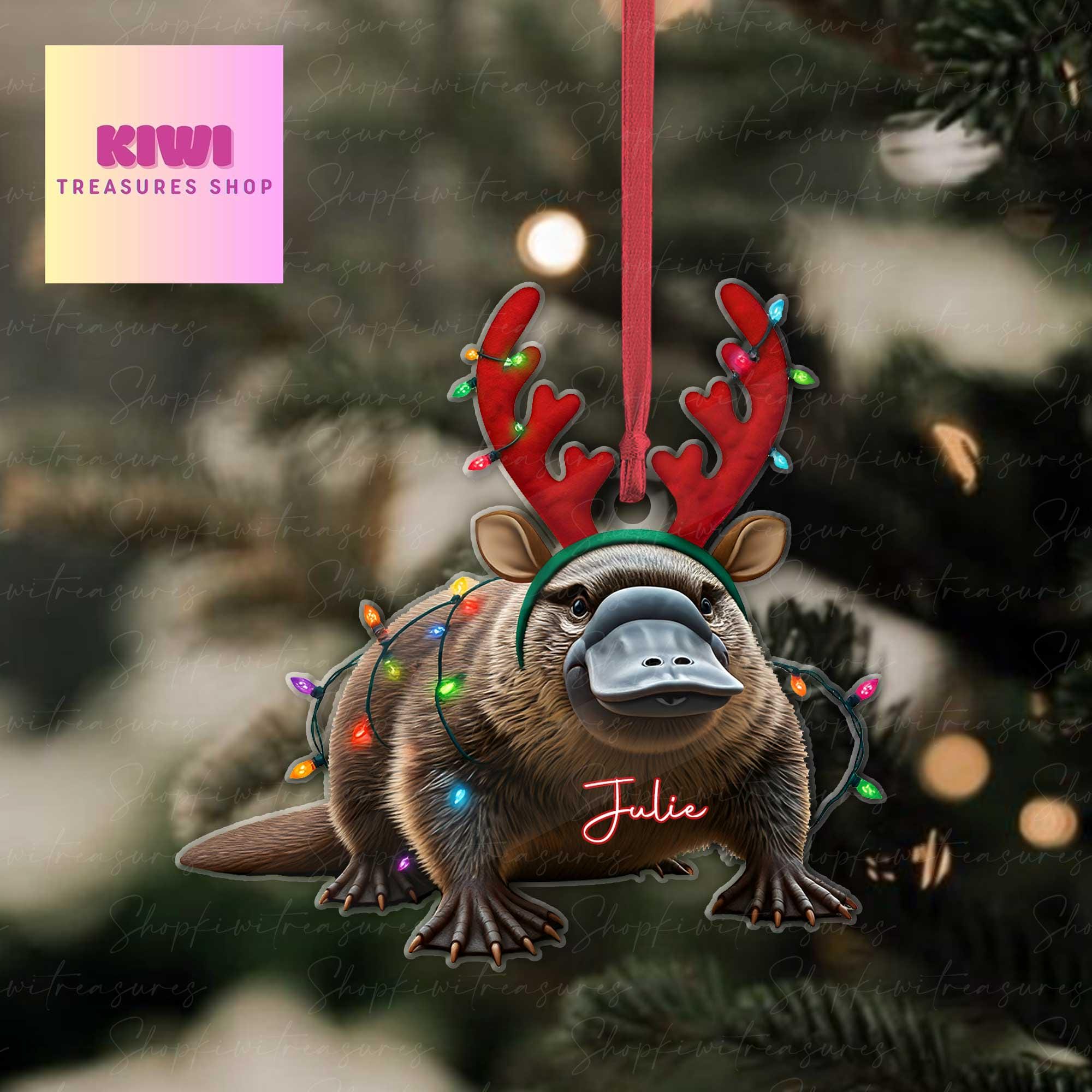 Personalized platypus christmas Ornament, platypus ornament, Flat 2D Ornament, platypus lover gift,Christmas gift for kids