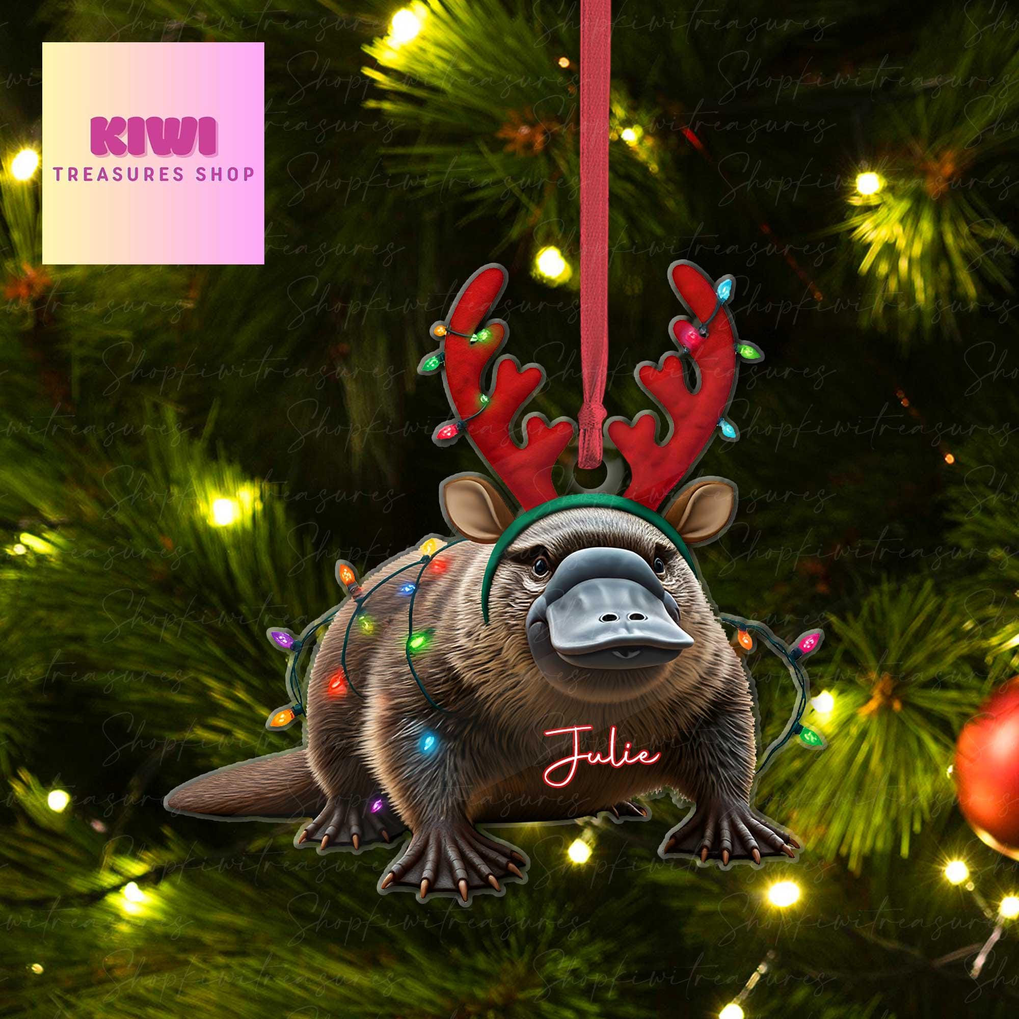 Personalized platypus christmas Ornament, platypus ornament, Flat 2D Ornament, platypus lover gift,Christmas gift for kids