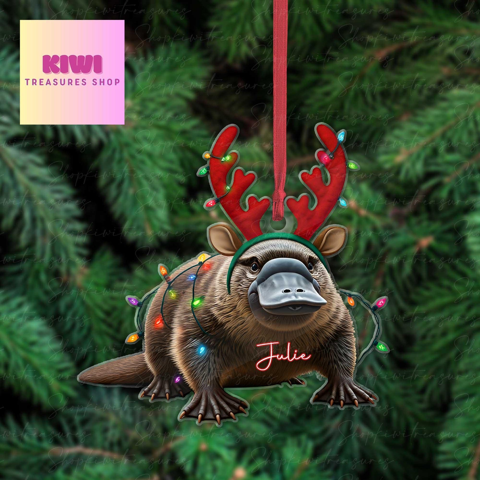 Personalized platypus christmas Ornament, platypus ornament, Flat 2D Ornament, platypus lover gift,Christmas gift for kids