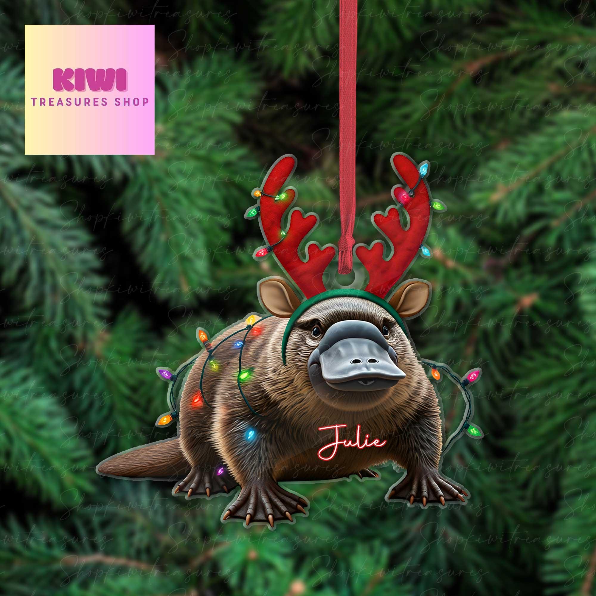 Personalized platypus christmas Ornament, platypus ornament, Flat 2D Ornament, platypus lover gift,Christmas gift for kids