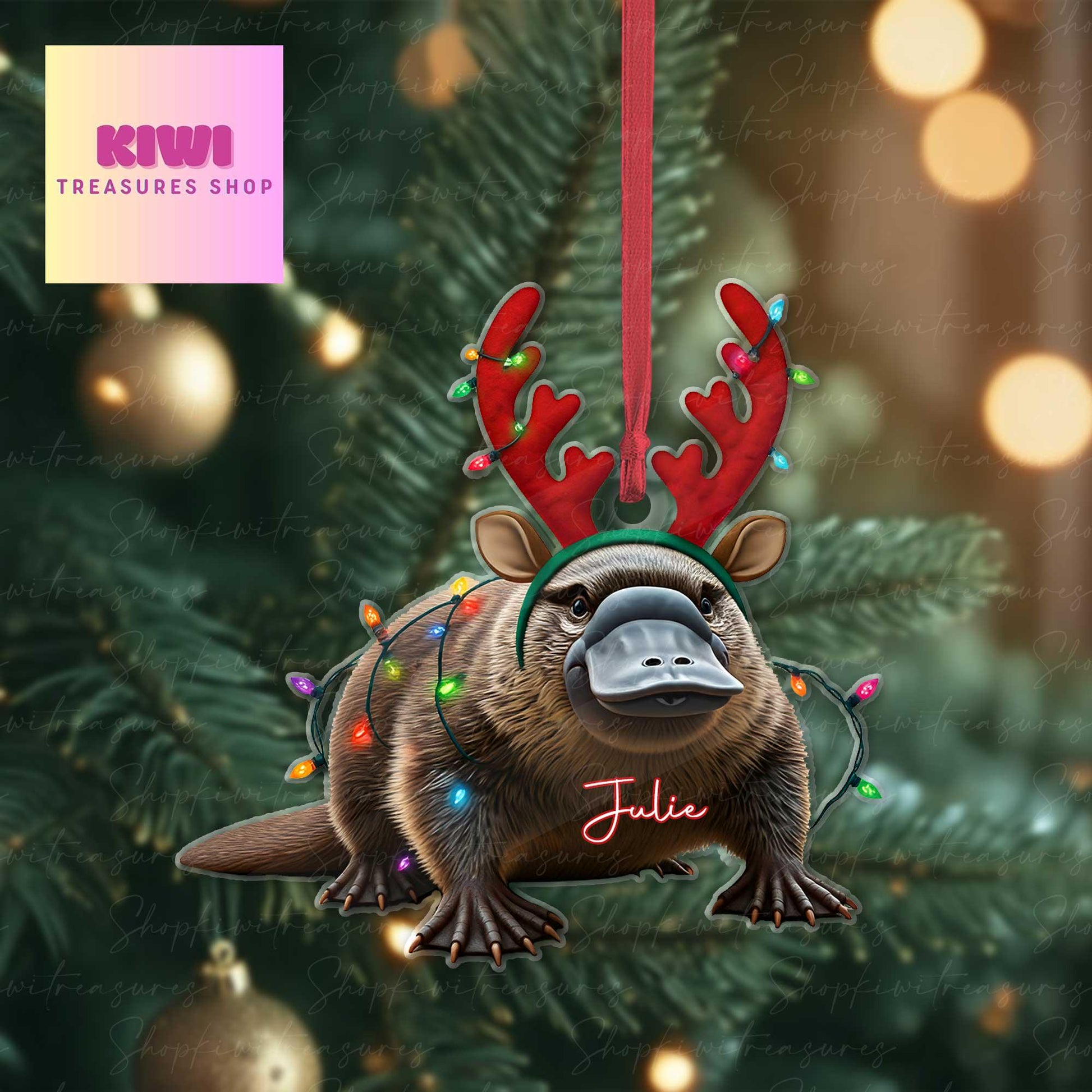 Personalized platypus christmas Ornament, platypus ornament, Flat 2D Ornament, platypus lover gift,Christmas gift for kids