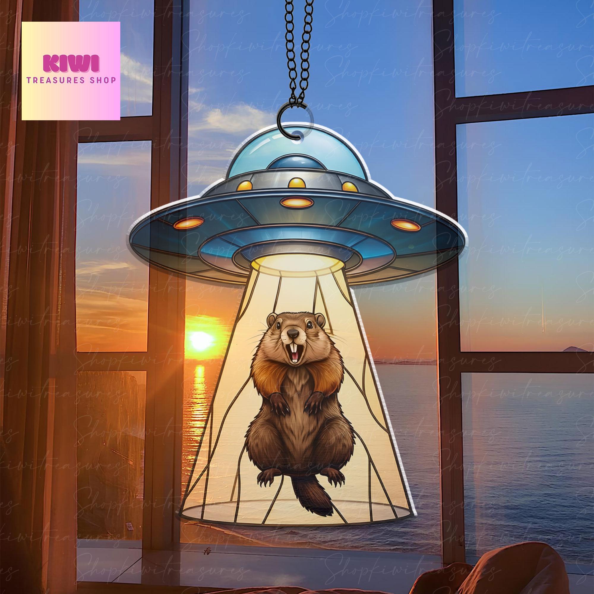 Groundhog scream suncatcher flat ornament, funny UFO abduction meme design, unique acrylic decoration gift for meme lovers, NOT glass