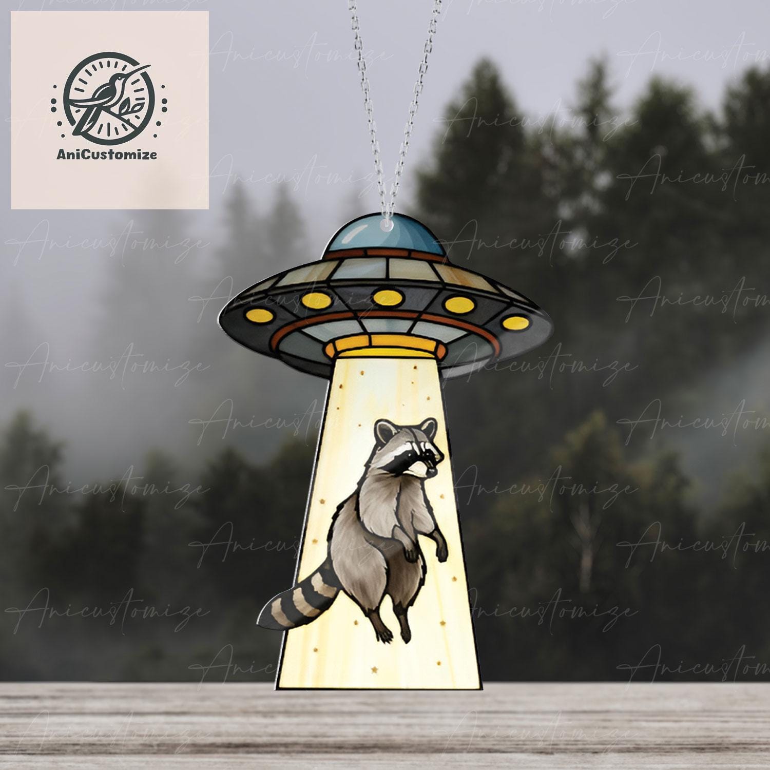 UFO Abduction Raccoon ACRYLIC Window Hanging, Raccoon Funny Decor, Funny Ufo Raccoon, Raccoon Lover Gift, Aliens Lovers Gifts, Alien Decor