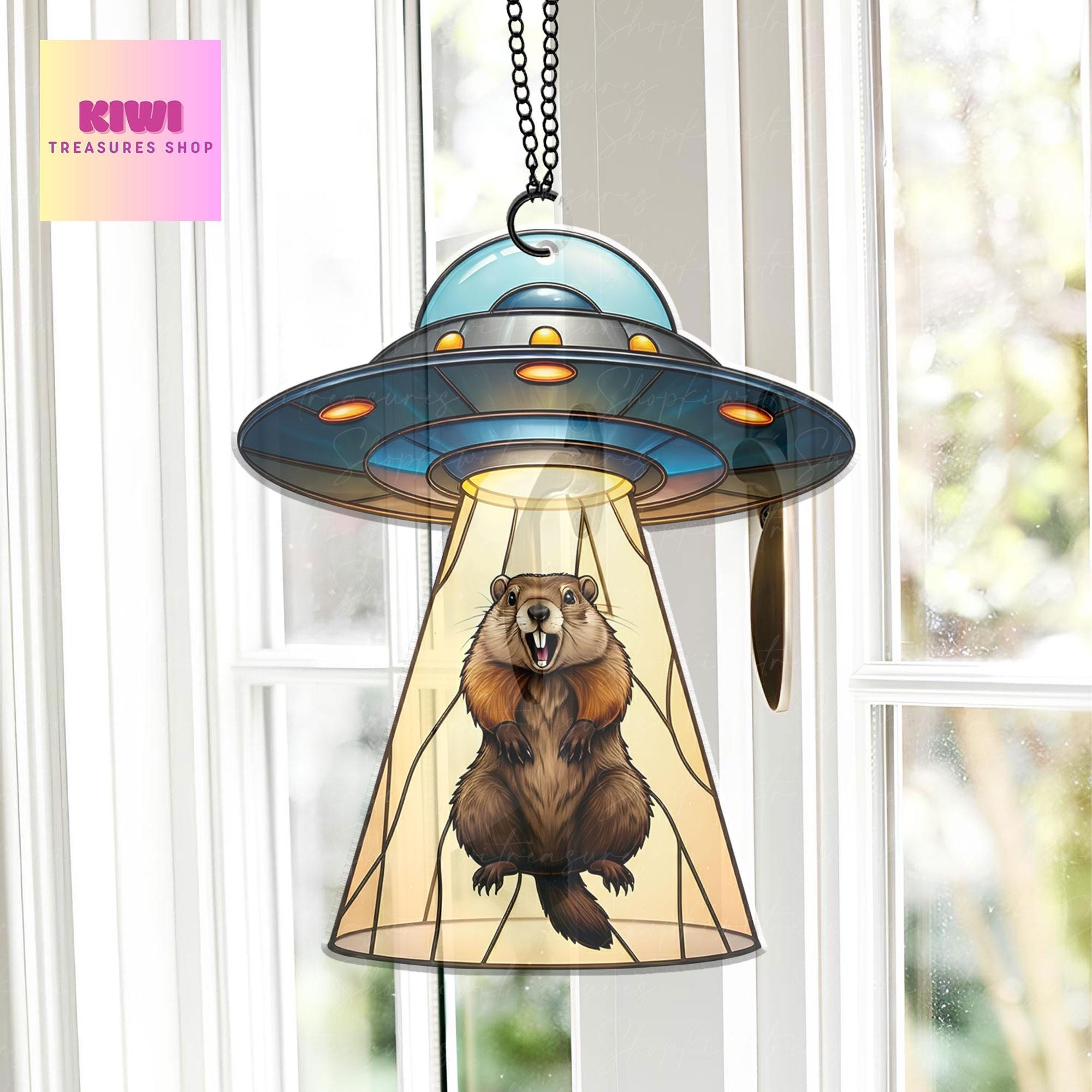 Groundhog scream suncatcher flat ornament, funny UFO abduction meme design, unique acrylic decoration gift for meme lovers, NOT glass