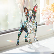 ACRYLIC Hologram Boston terrier Window Hanging, colorful dog lover decor, suncatcher gift for dog moms, perfect home accent
