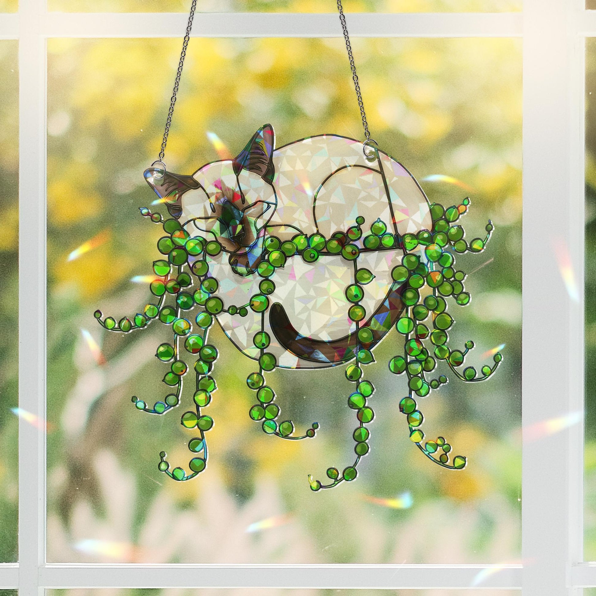 Siamese Cat Sleeping In String Of Pearl Plant Hologram Decor,Plant Decor, Siamese Cat Mom Gift, Mother's Day Gift