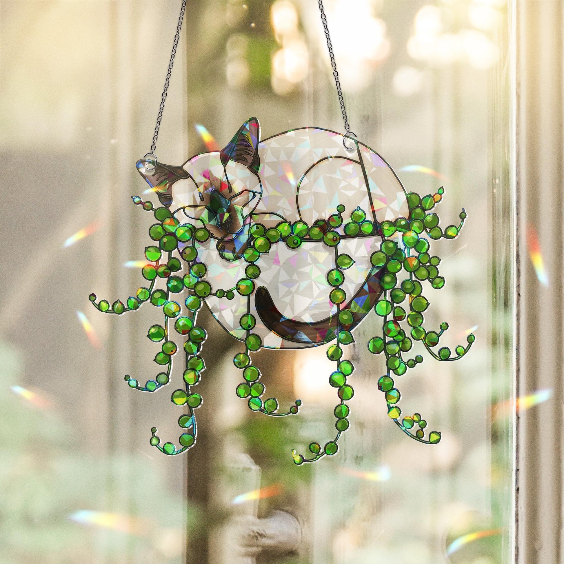 Siamese Cat Sleeping In String Of Pearl Plant Hologram Decor,Plant Decor, Siamese Cat Mom Gift, Mother's Day Gift