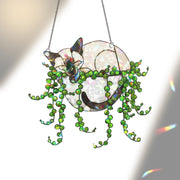 Siamese Cat Sleeping In String Of Pearl Plant Hologram Decor,Plant Decor, Siamese Cat Mom Gift, Mother's Day Gift