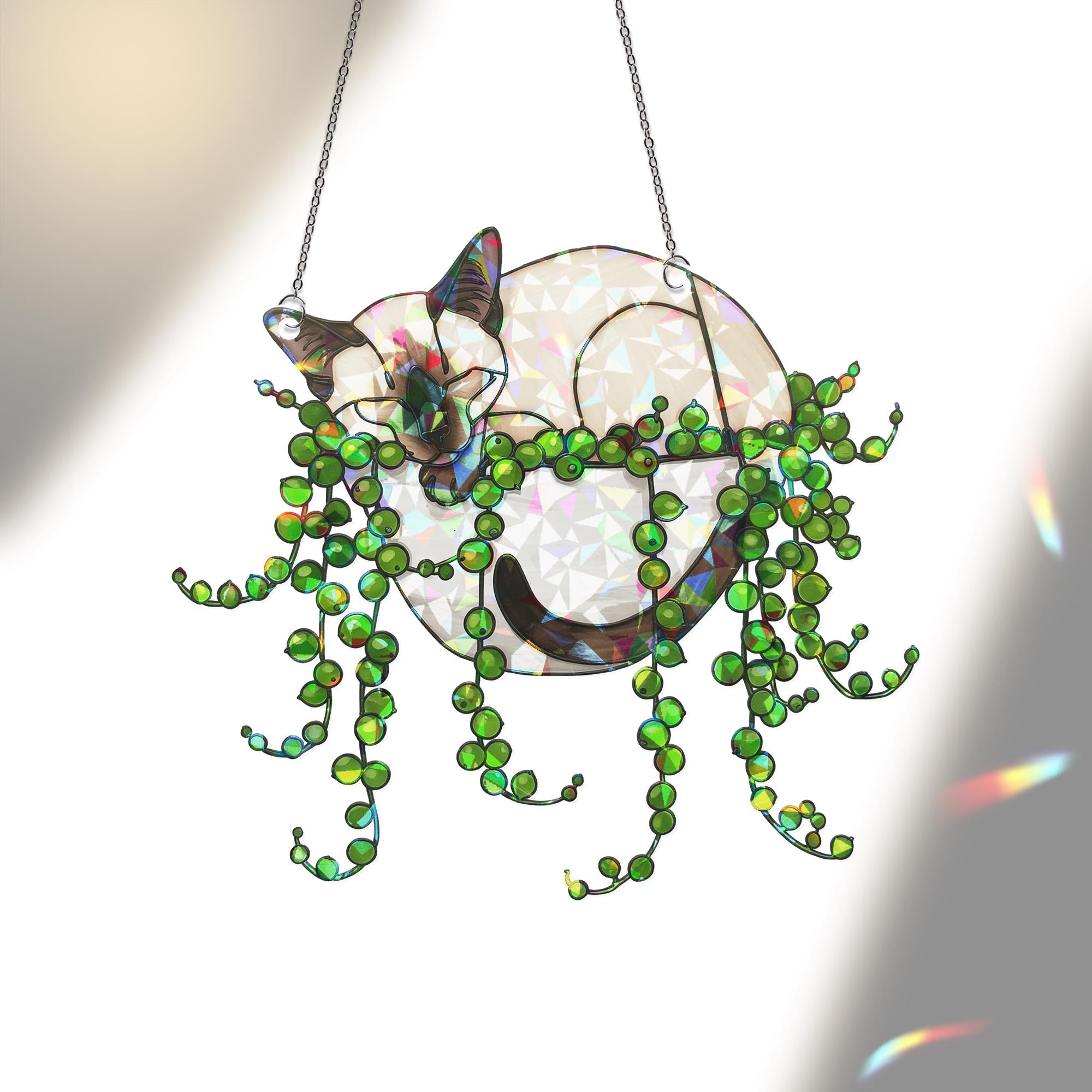 Siamese Cat Sleeping In String Of Pearl Plant Hologram Decor,Plant Decor, Siamese Cat Mom Gift, Mother's Day Gift