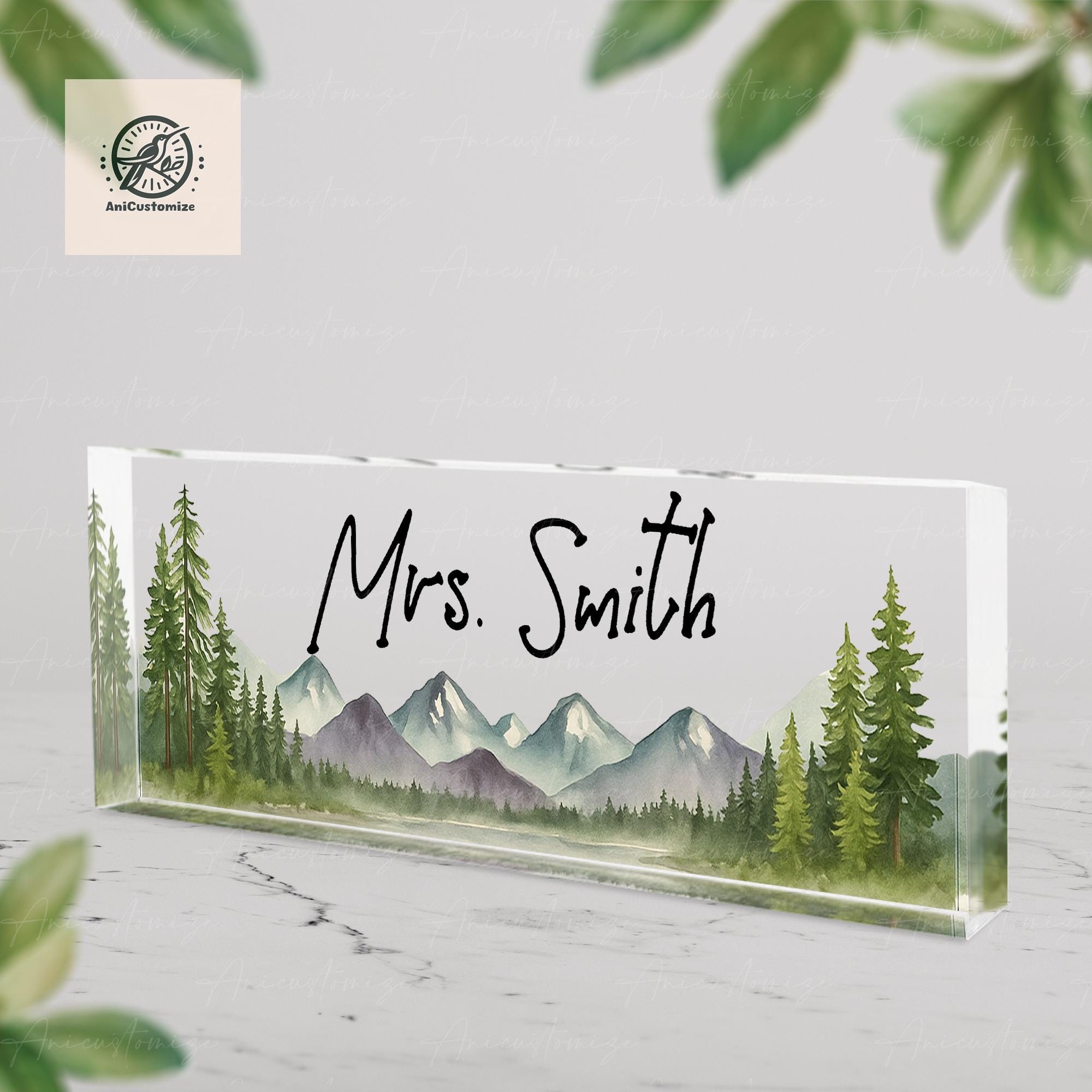 Custom Teacher Name Plaque, End Of Year Gift, Personalized Desk Name Sign, Acrylic Nameplate, Teacher Appreciation Gift, teacher Gift Idea