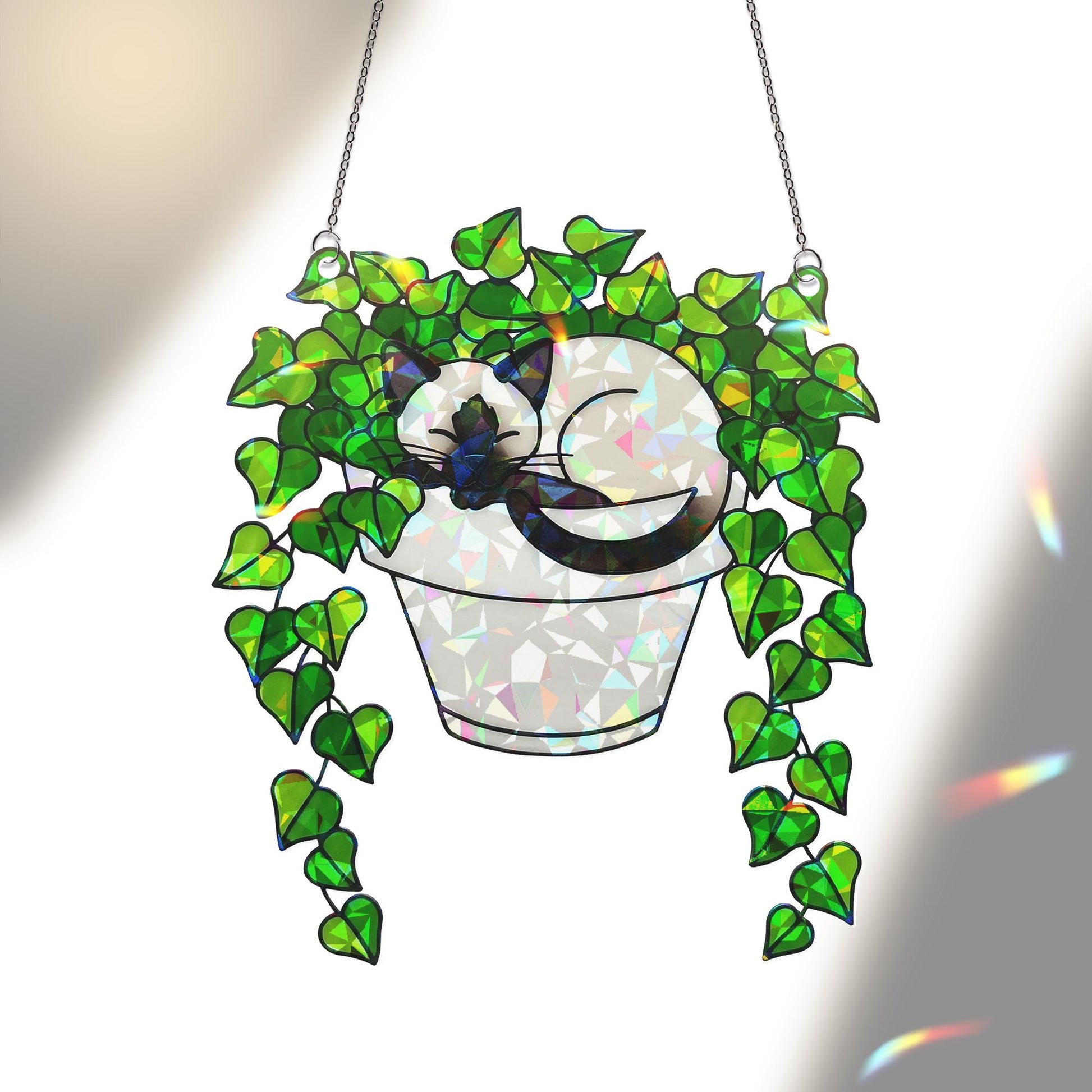 Holographic Siamese Cat in Ivy Plant Suncatcher, Acrylic Window Hanging, Cat Lover Gift, Mother's Day Home Decor, Siamese Lovers Spring Gift