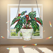 Begonia Maculata Suncatcher, Polka Dot Plant Window Decor, Holographic Acrylic Leaf Art, Hanging Houseplant Gift, Plant Lover Gift