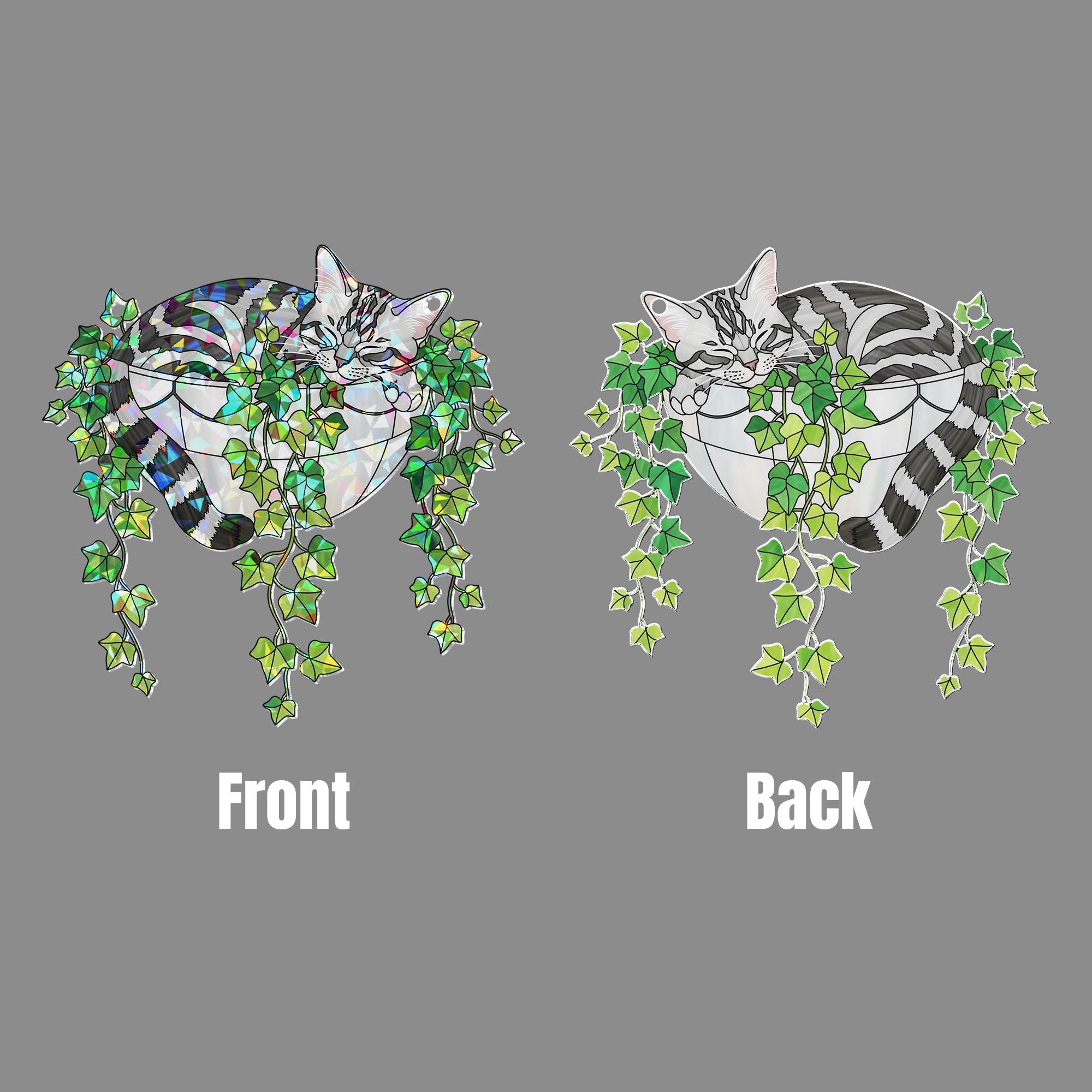 American Shorthair Cat Sleeping on Ivy Hologram ACRYLIC Window Hanging, Plant Lover Gift, Ivy Plants Decor, Cat Decor, Gift For Mom, Cat Mom