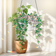 Exotic Shorthair Cat Sleeping on Ivy Hologram ACRYLIC Window Hanging, Plant Lover Gift, Ivy Plants Decor, Cat Decor, Gift For Mom, Cat Mom