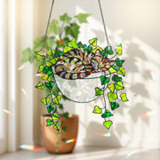 Tabby Cat Sleeping on Ivy Hologram Ornament | Cat ACRYLIC Window Hanging | Plant Lover Gift | Ivy Plants Decor, Cozy Cat Decor, Gift For Mom