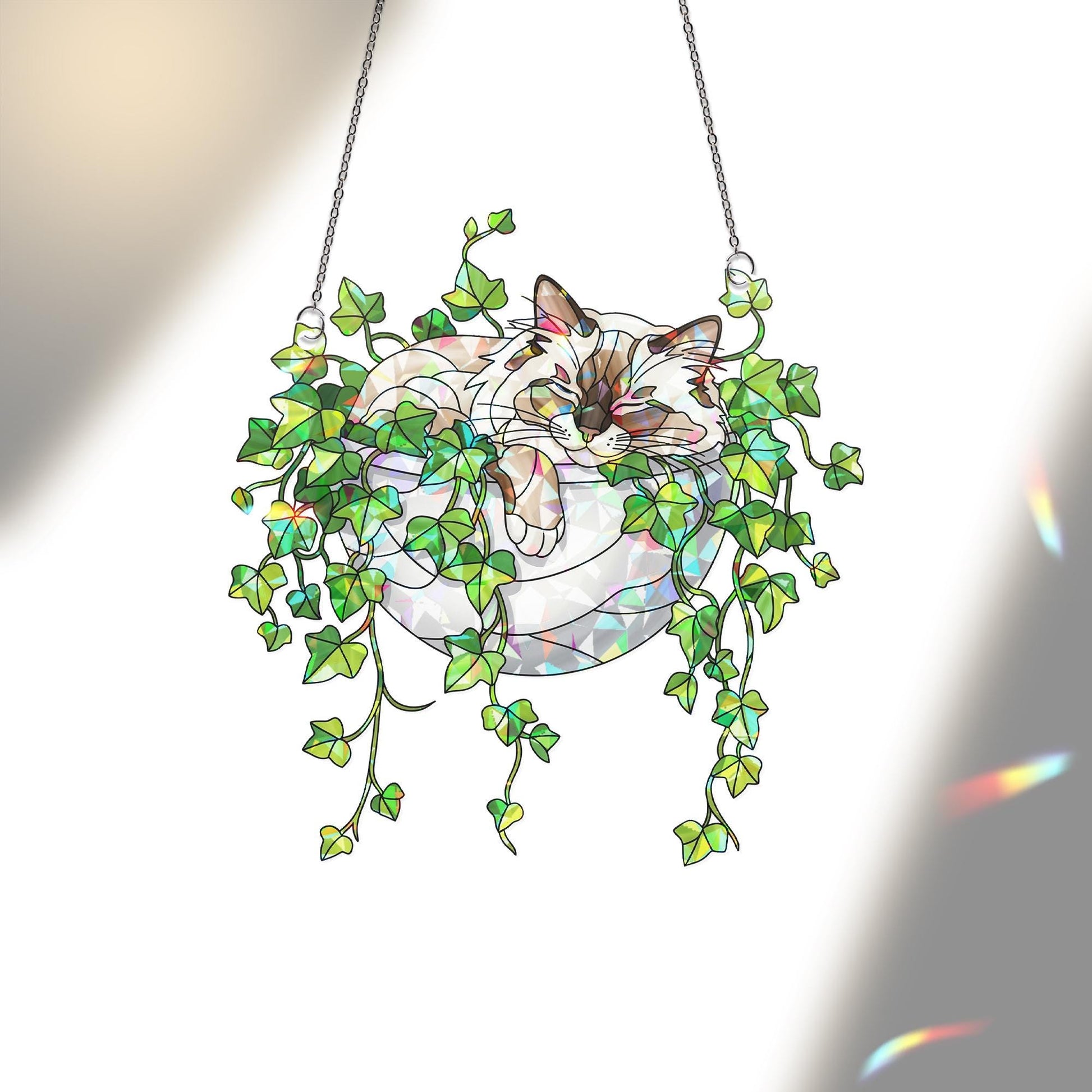 Birman Cat Sleeping on Ivy Hologram Ornament, Cat ACRYLIC Window Hanging | Plant Lover Gift | Ivy Plants Decor, Cozy Cat Decor, Gift For Mom