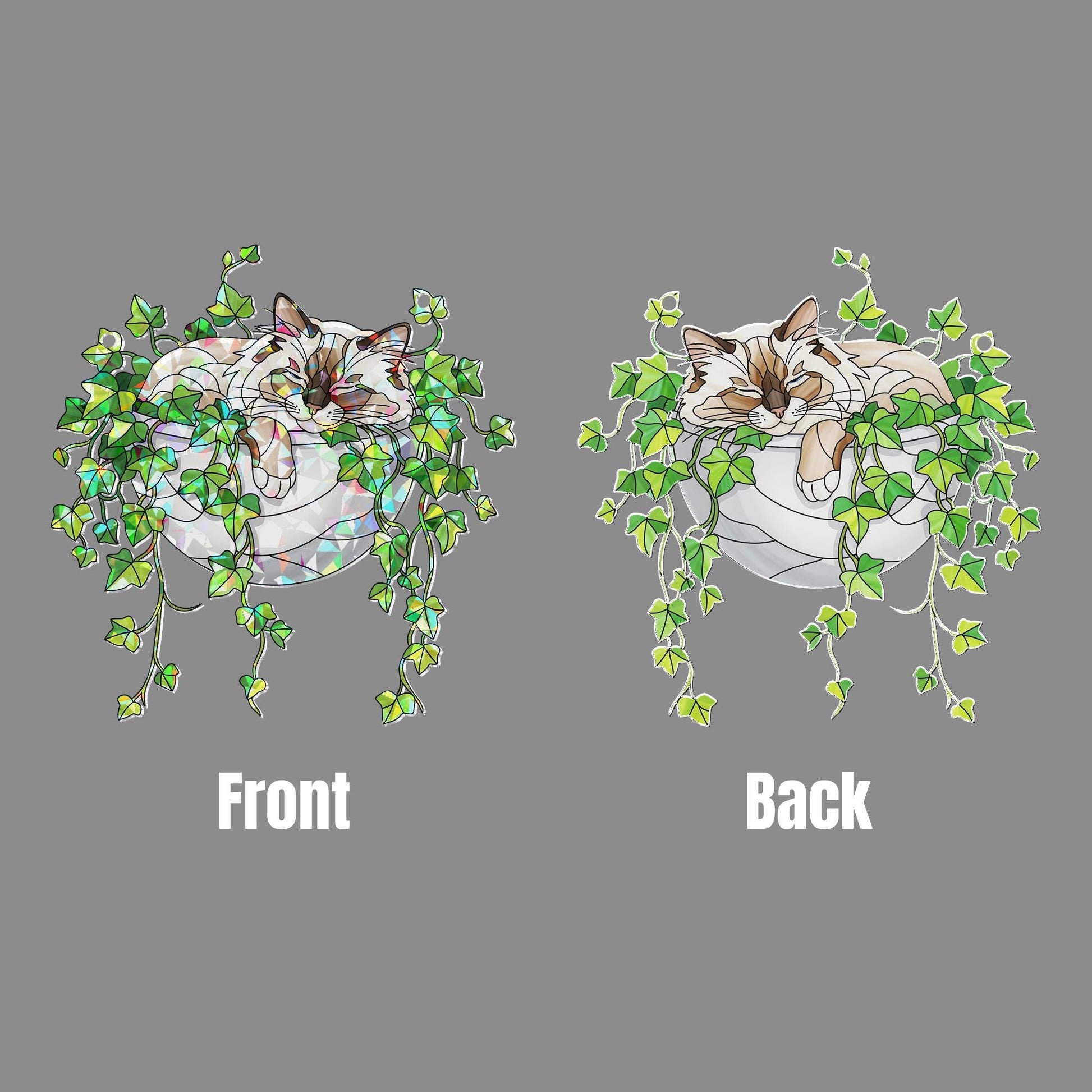 Birman Cat Sleeping on Ivy Hologram Ornament, Cat ACRYLIC Window Hanging | Plant Lover Gift | Ivy Plants Decor, Cozy Cat Decor, Gift For Mom