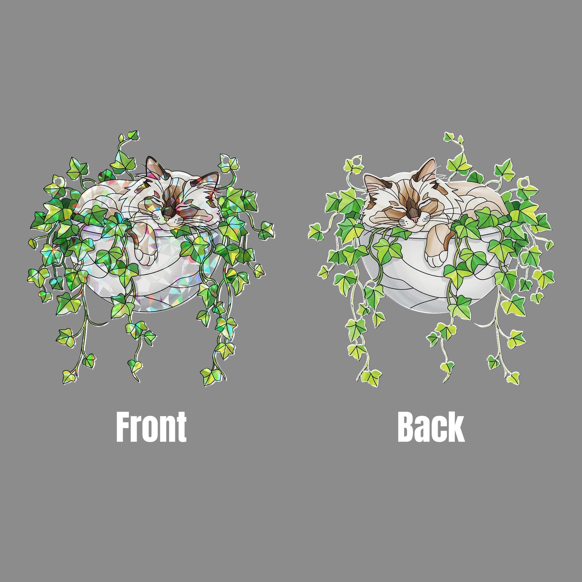 Birman Cat Sleeping on Ivy Hologram Ornament, Cat ACRYLIC Window Hanging | Plant Lover Gift | Ivy Plants Decor, Cozy Cat Decor, Gift For Mom
