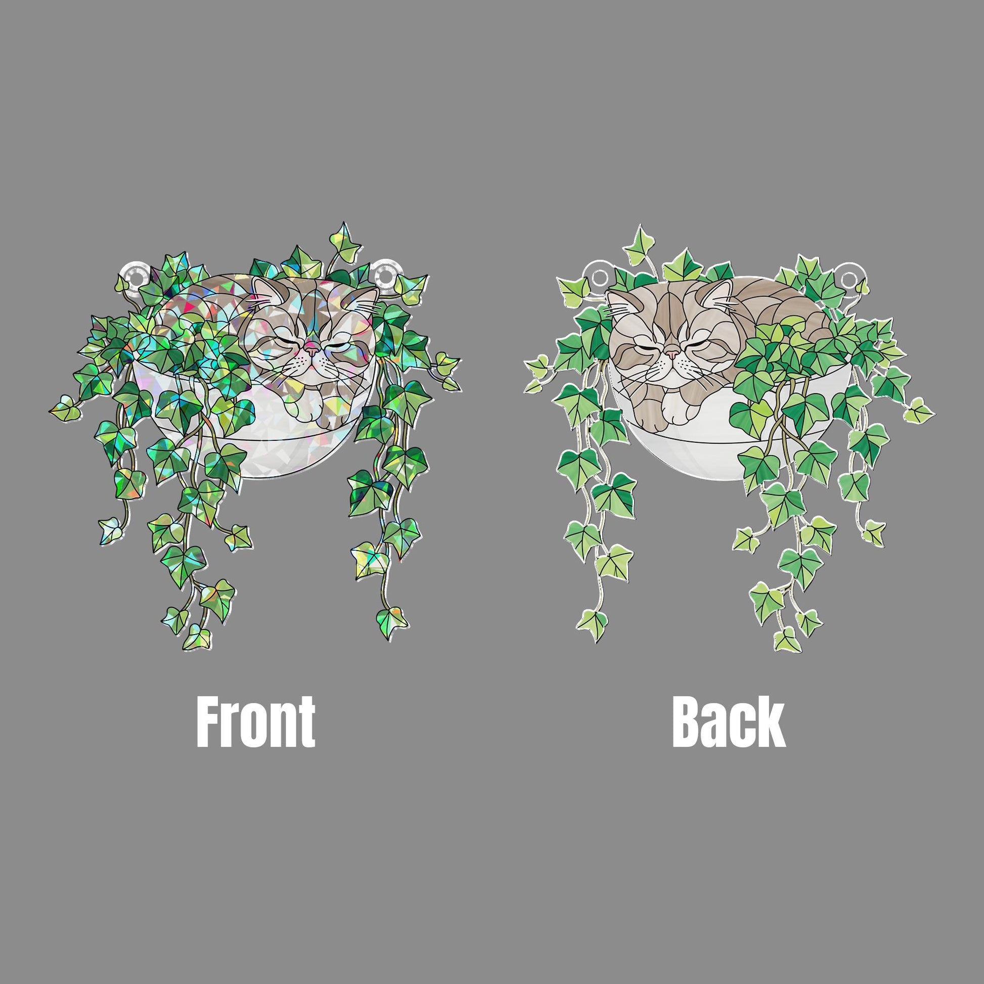 Exotic Shorthair Cat Sleeping on Ivy Hologram ACRYLIC Window Hanging, Plant Lover Gift, Ivy Plants Decor, Cat Decor, Gift For Mom, Cat Mom