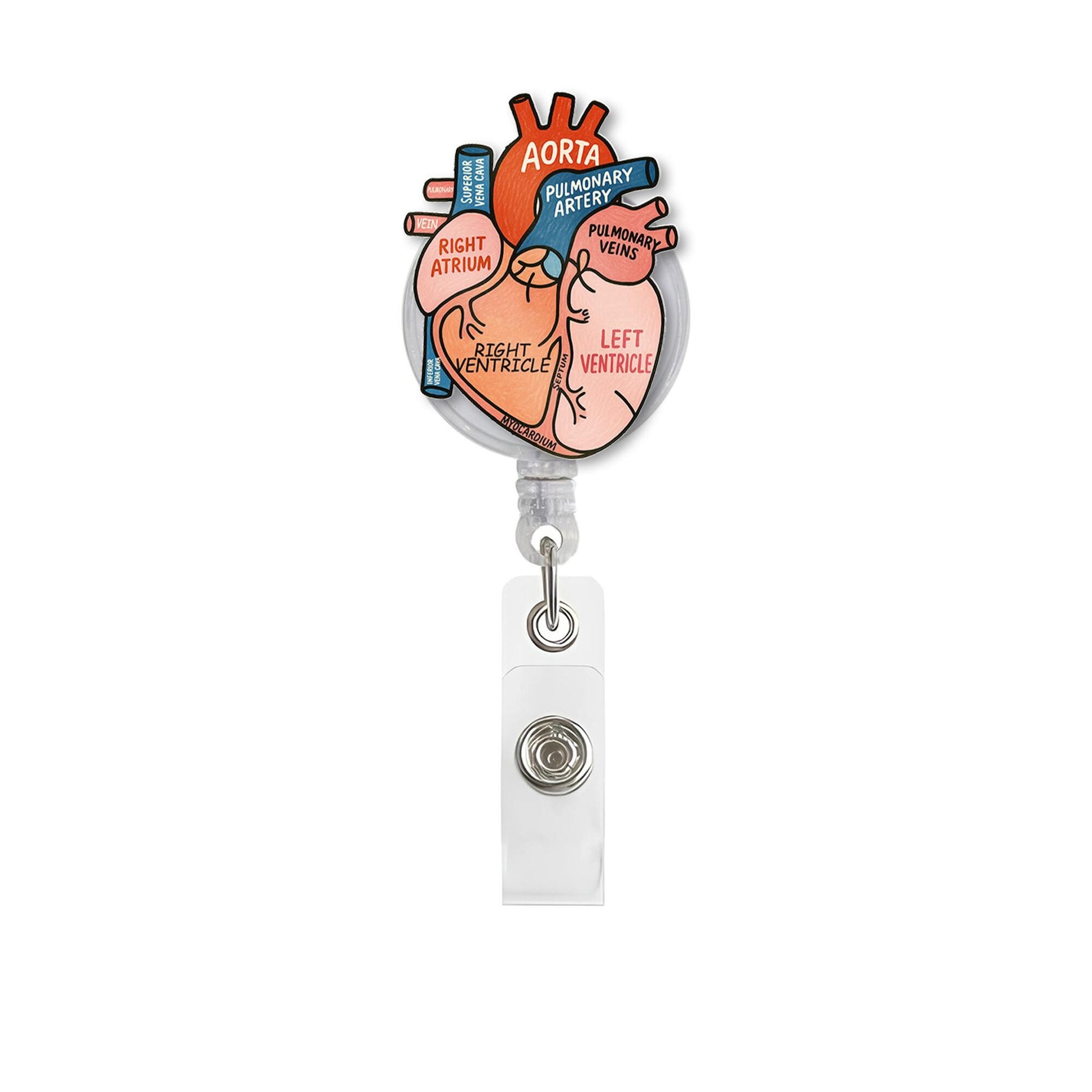 Anatomical Heart Badge Reel, Medical ID Holder, Cute Nurse RN Clip, Hospital Lanyard, Cardiology Student Gift, Doctor Accessory