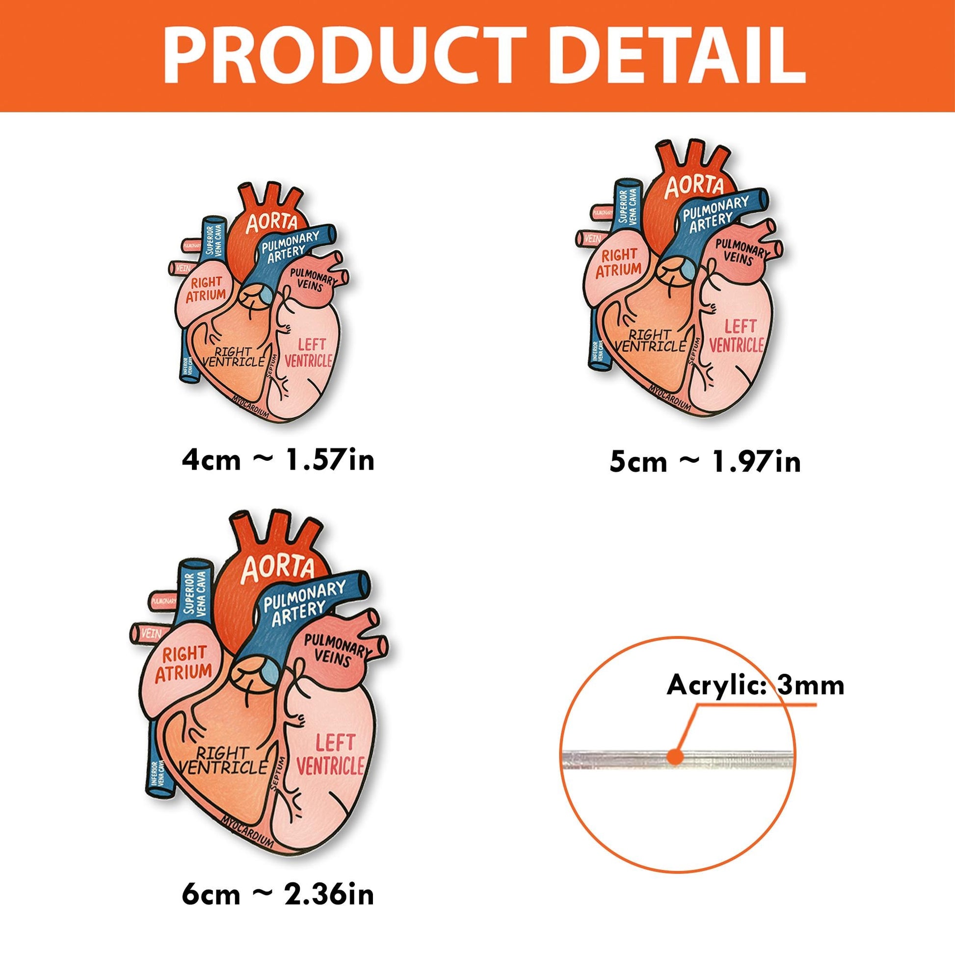 Anatomical Heart Badge Reel, Medical ID Holder, Cute Nurse RN Clip, Hospital Lanyard, Cardiology Student Gift, Doctor Accessory