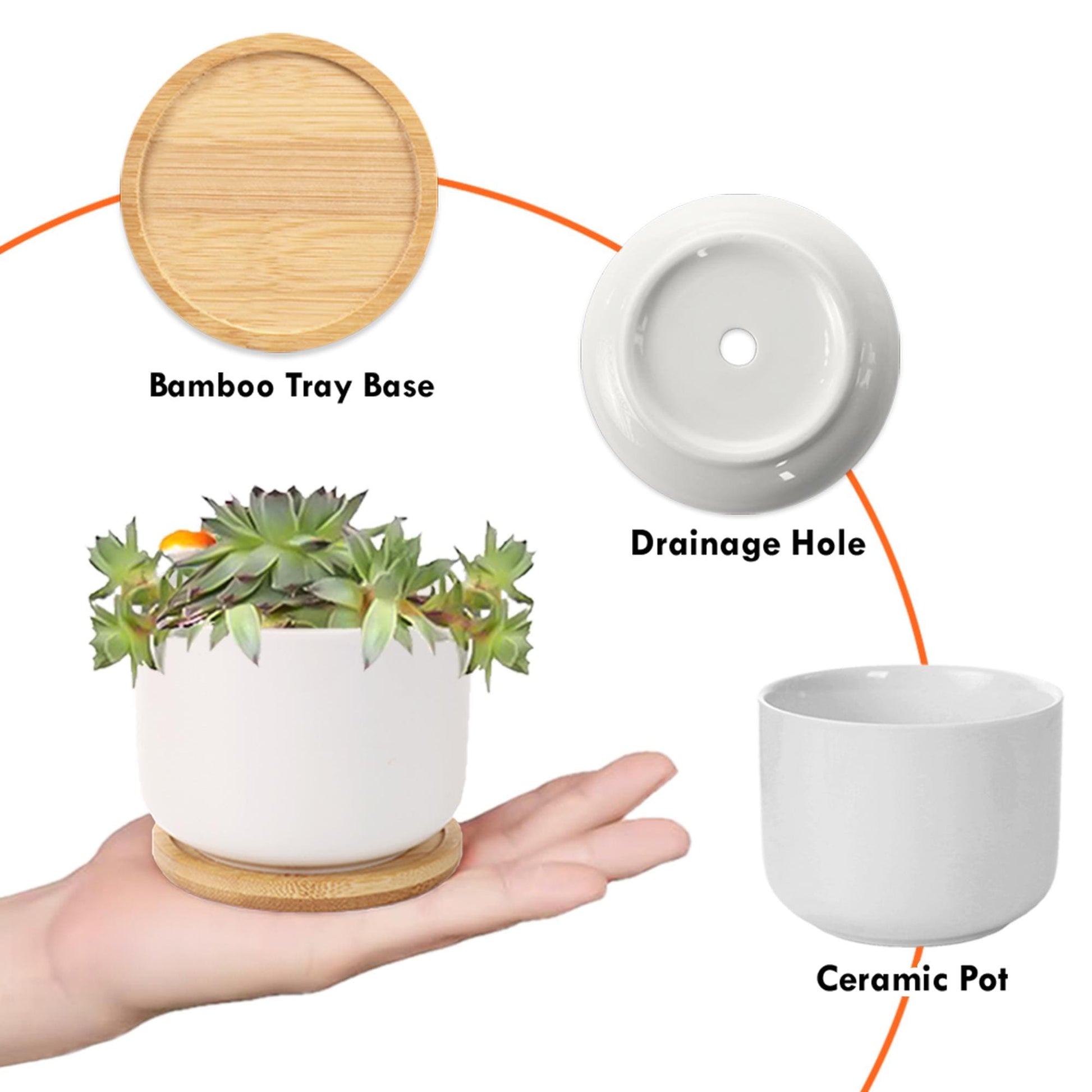 Custom Retirement Plant Pot – Personalized Ceramic Succulent Planter with Name & Year–Floral Farewell Gift for Coworker or Teacher -POT ONLY