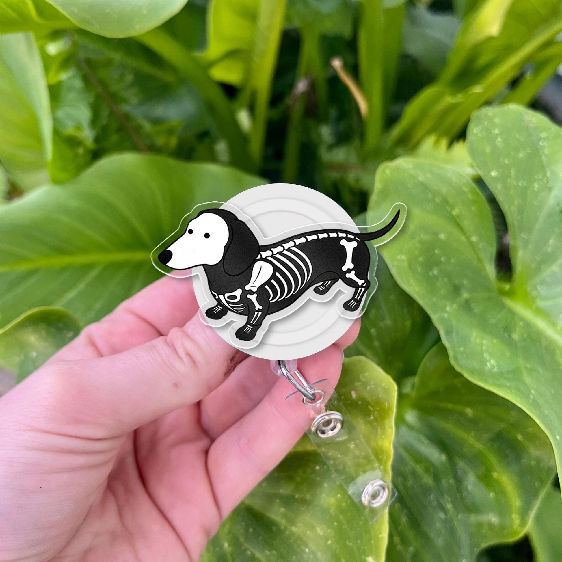 Skeleton Dog Badge Reel - Halloween Dachshund ID Holder - Spooky Cute Retractable Badge Clip for Nurses, Vet Techs, Dog Lovers