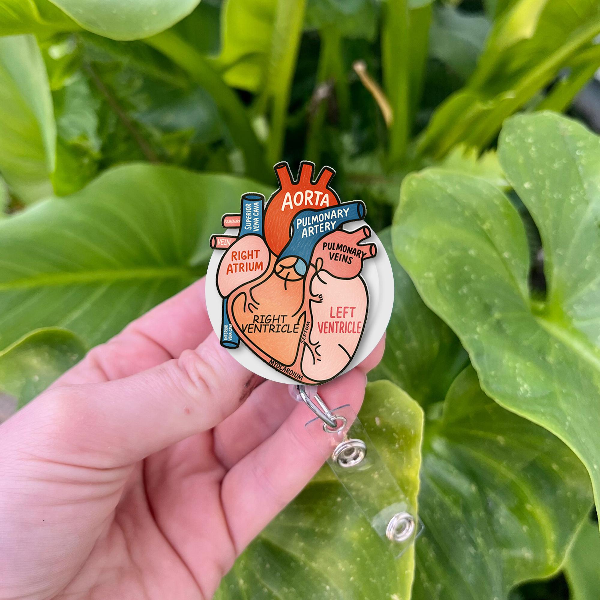 Anatomical Heart Badge Reel, Medical ID Holder, Cute Nurse RN Clip, Hospital Lanyard, Cardiology Student Gift, Doctor Accessory