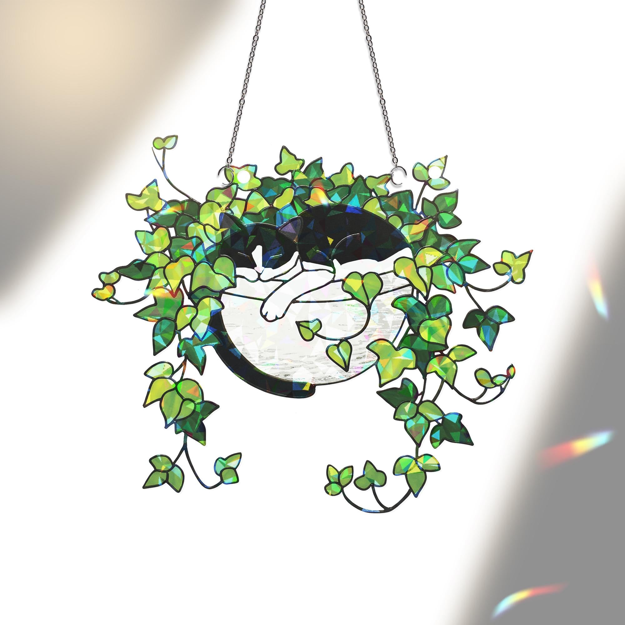 Three Cats Sleeping on Ivy Hologram Ornament, Cats ACRYLIC Window Hanging, Plant Lover Gift, Ivy Plants Decor, Cat Decor, Gift For Mom