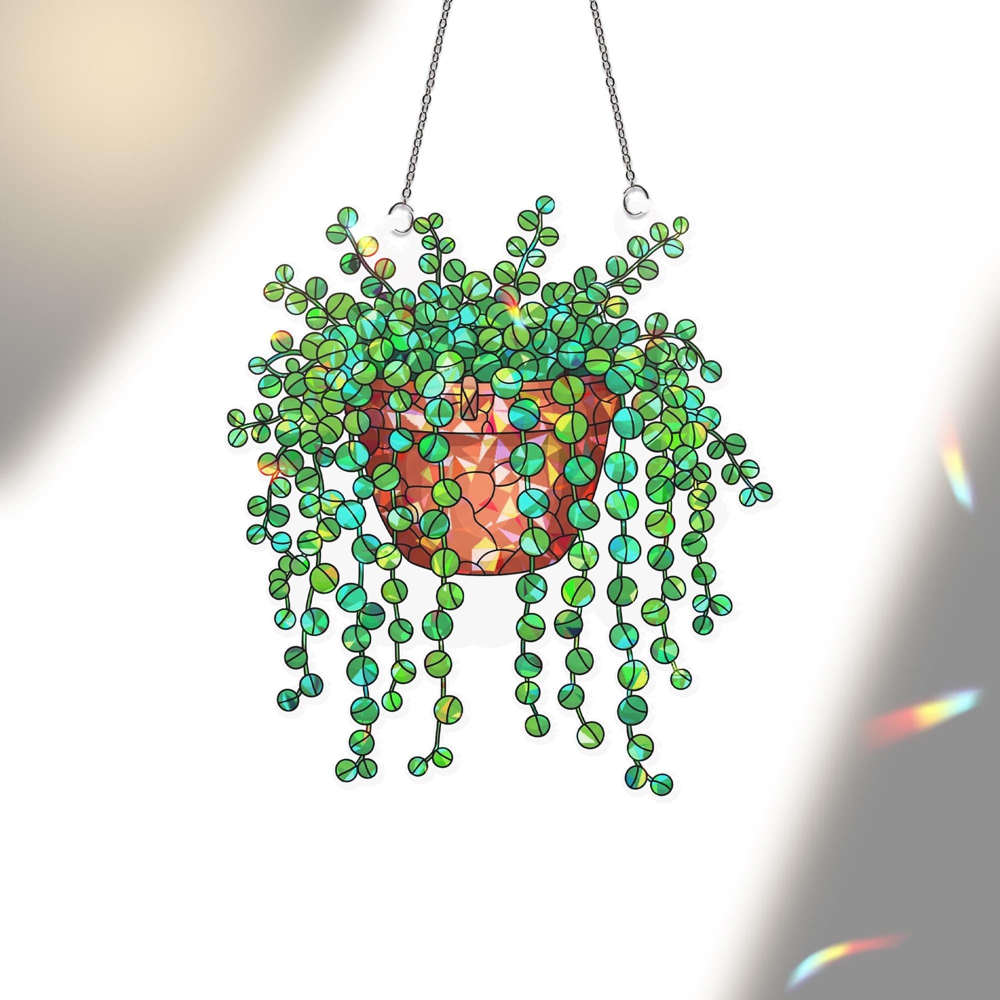 String of Turtles Acrylic Hologram Ornament, Plant garden Hanging decor, Trailing Succulent Window Hanging, Plant Lover Botanical Home Art