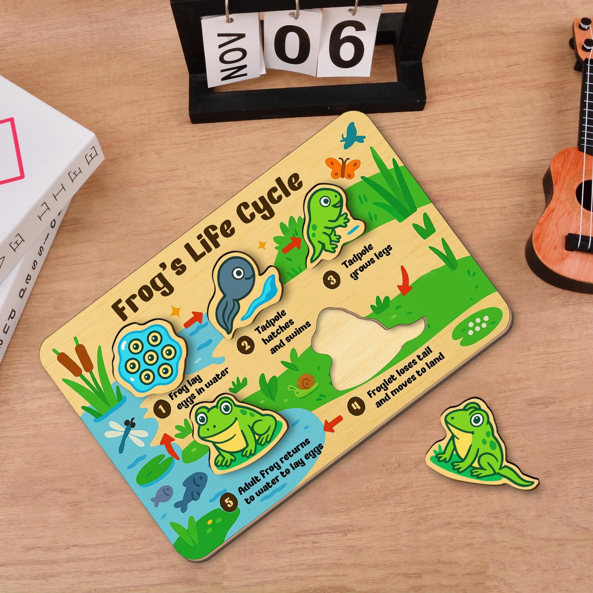 Frog Life Cycle Wooden Puzzle – Montessori Science Toy for Kids – Educational Nature Puzzle for Toddlers & Preschool Learning