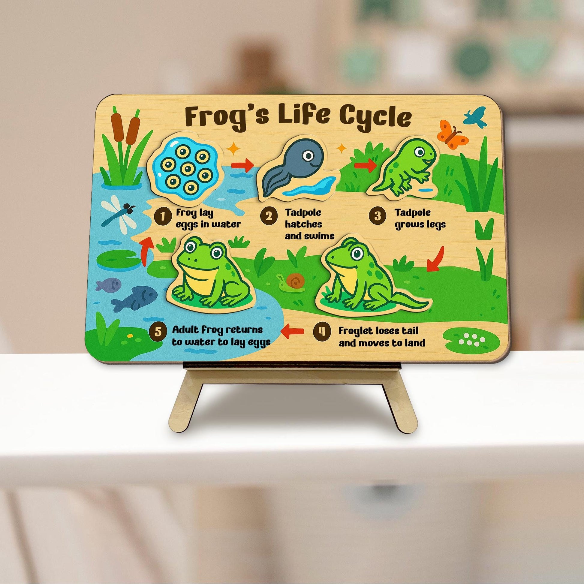 Frog Life Cycle Wooden Puzzle – Montessori Science Toy for Kids – Educational Nature Puzzle for Toddlers & Preschool Learning