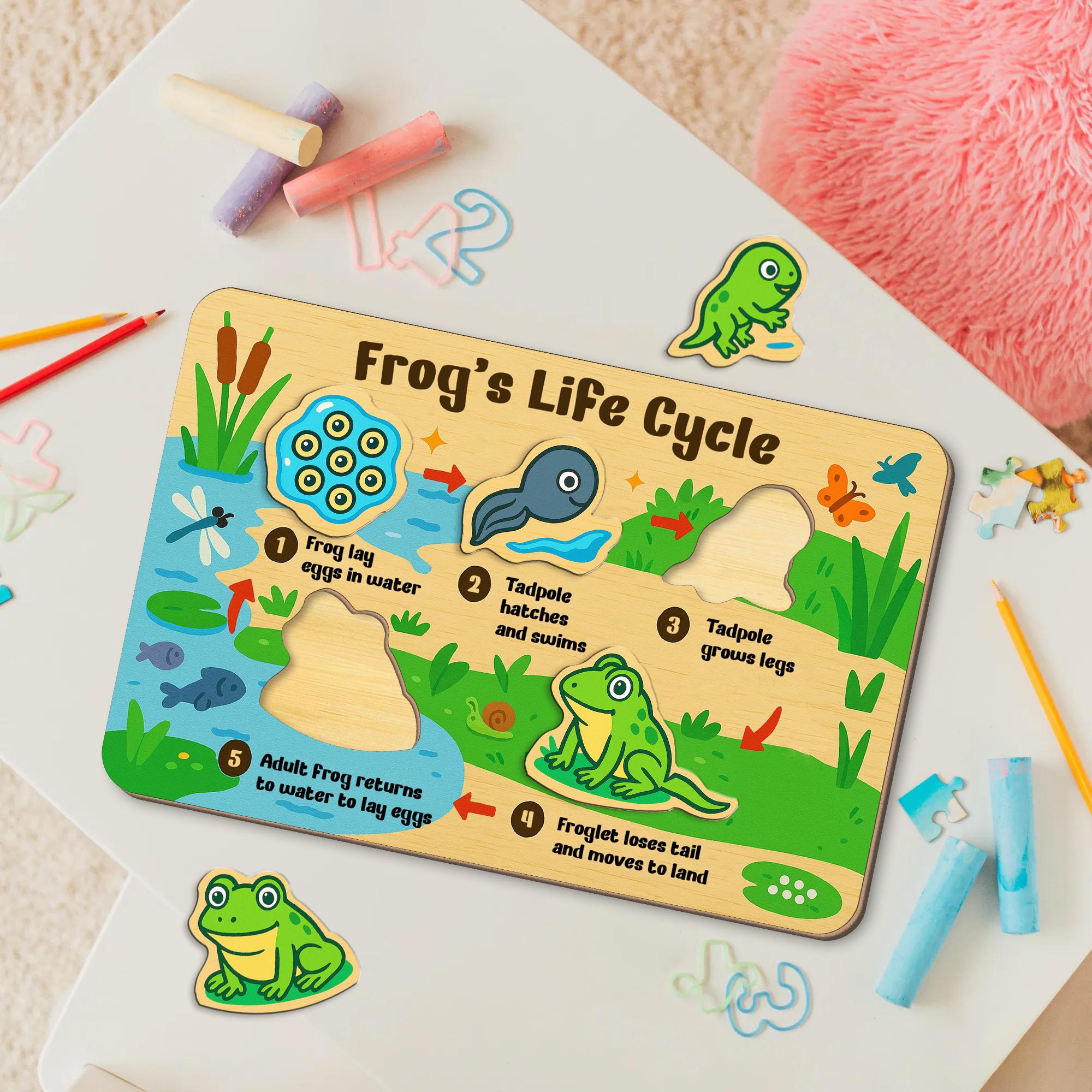 Frog Life Cycle Wooden Puzzle – Montessori Science Toy for Kids – Educational Nature Puzzle for Toddlers & Preschool Learning