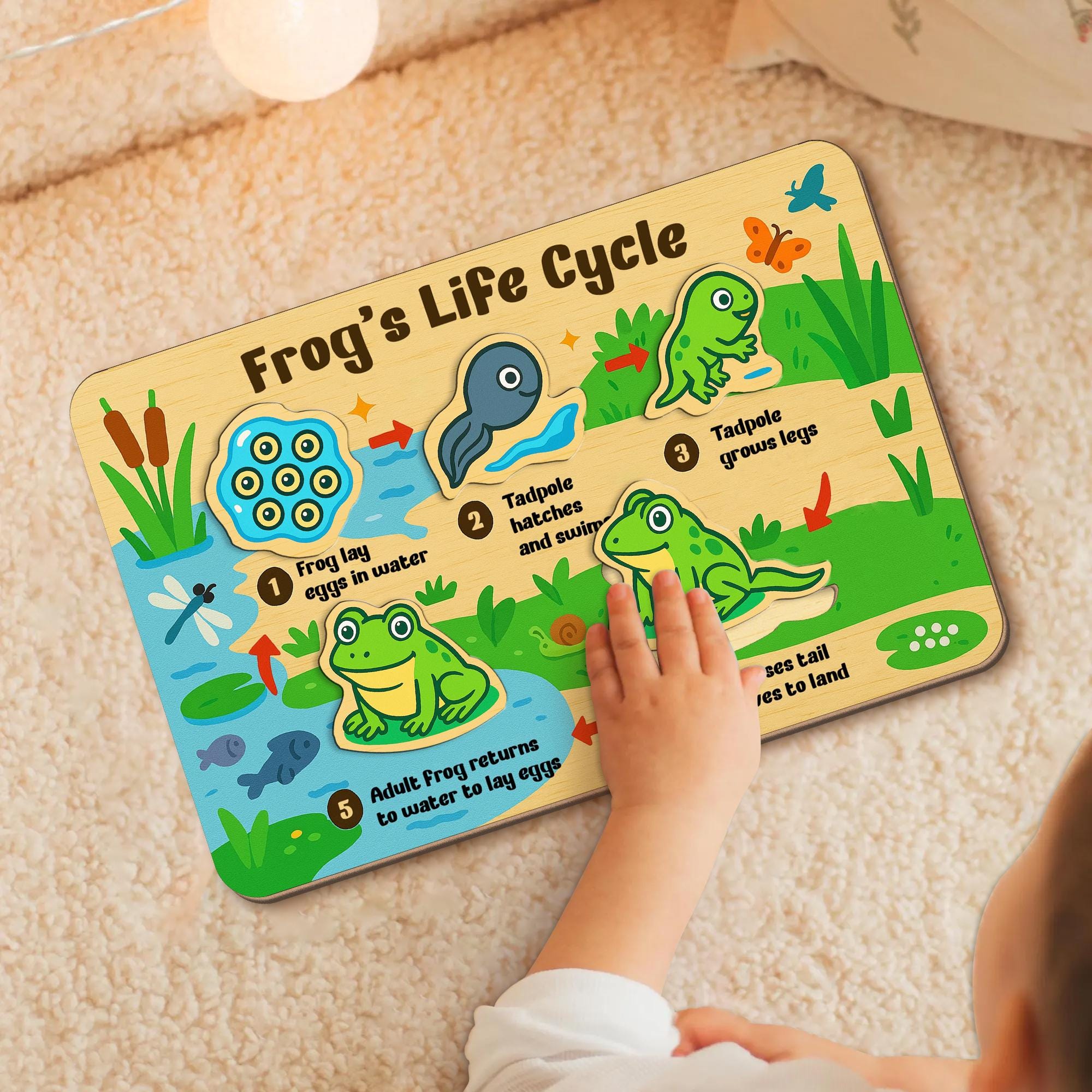 Frog Life Cycle Wooden Puzzle – Montessori Science Toy for Kids – Educational Nature Puzzle for Toddlers & Preschool Learning