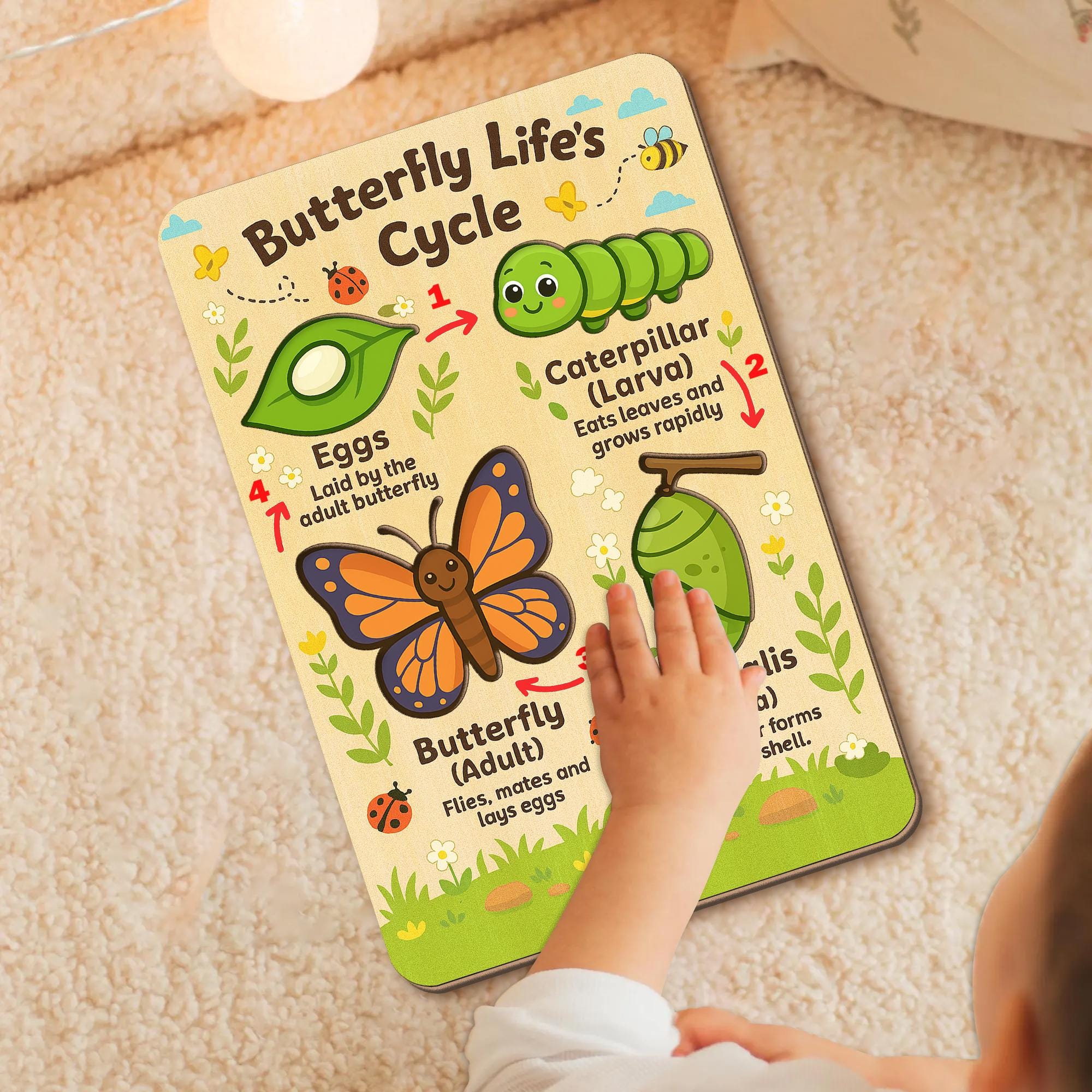 Butterfly Life Cycle Wooden Puzzle - Montessori Learning Toy for Toddlers, Preschool Educational STEM Board for Nature & Science Fun
