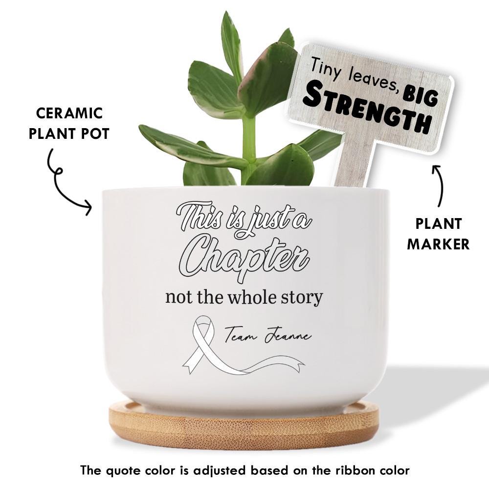 Cancer Awareness Plant Pot with Plant Marker – Support Gift, Survivor Encouragement, Healing Potted Plant for Strength
