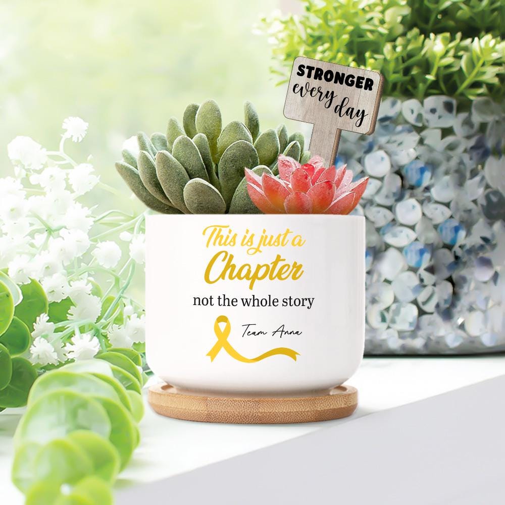 Cancer Awareness Plant Pot with Plant Marker – Support Gift, Survivor Encouragement, Healing Potted Plant for Strength