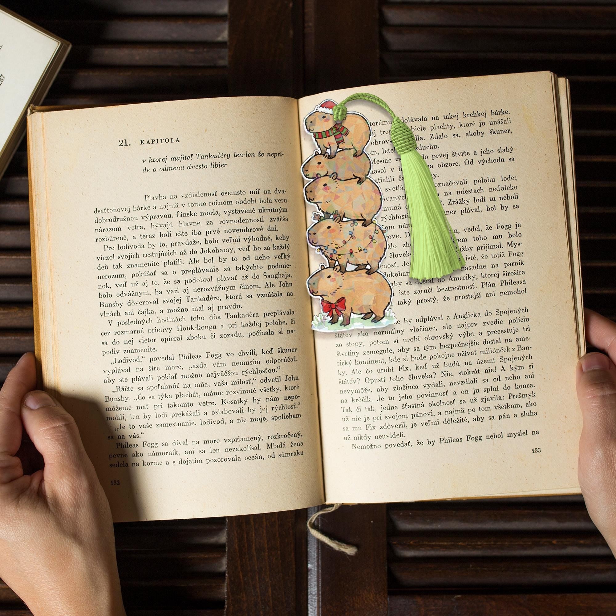 Holographic Acrylic Capybara Bookmark with Tassel Stack
