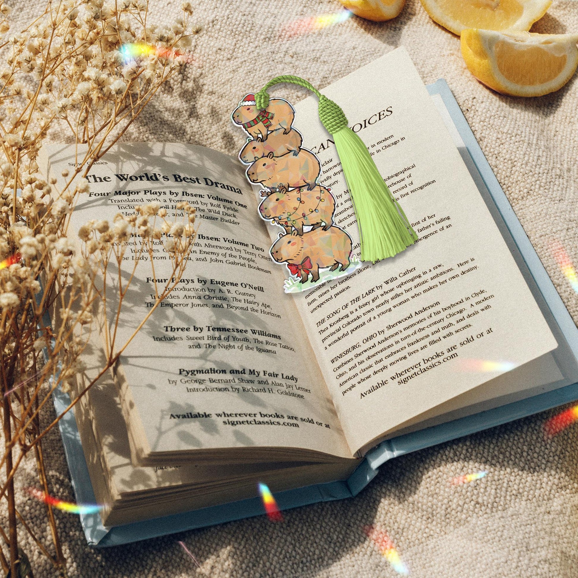 Holographic Acrylic Capybara Bookmark with Tassel Stack