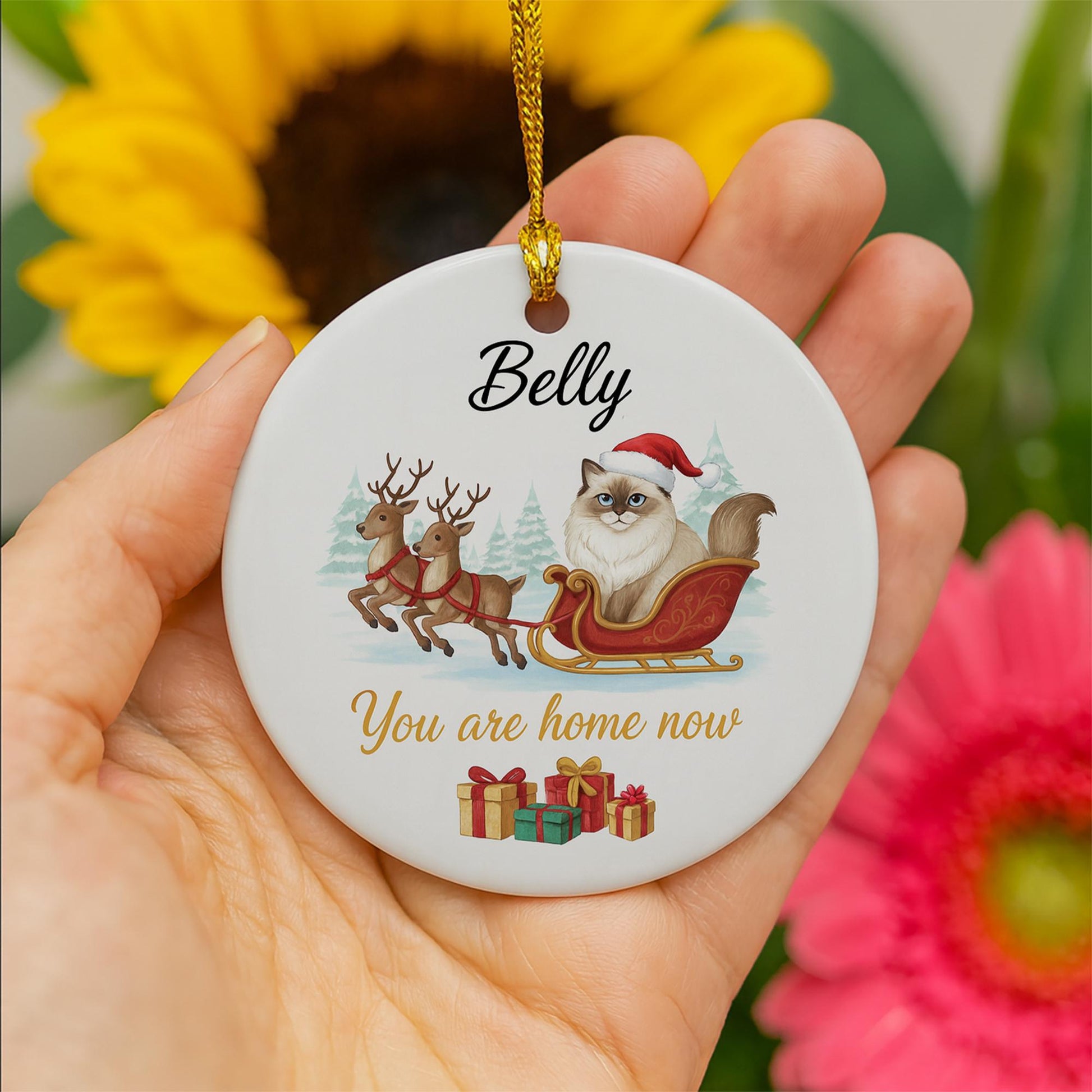 Personalized Ceramic Cat Ornament – Custom Pet Memorial Decoration with Sleigh and Reindeer