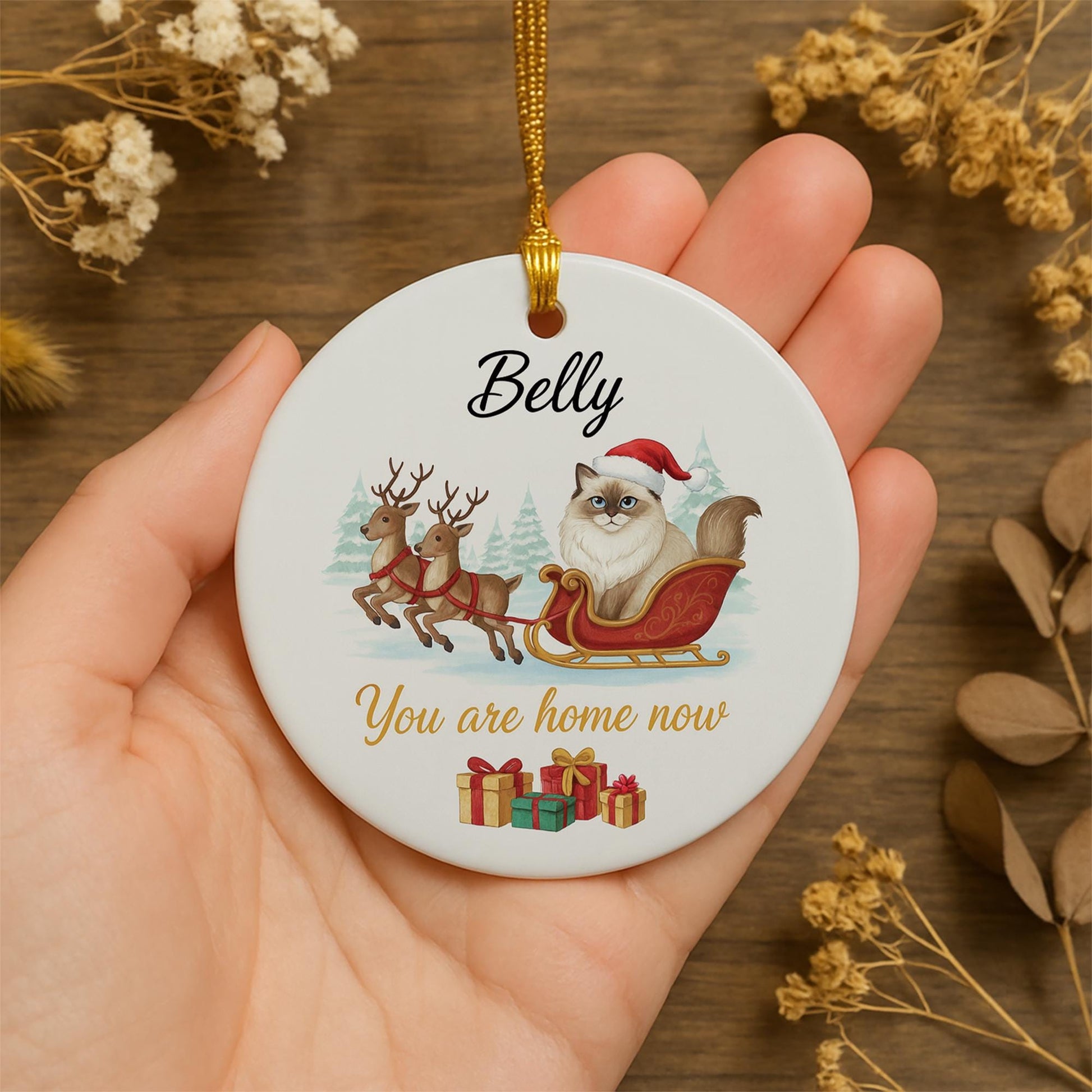 Personalized Ceramic Cat Ornament – Custom Pet Memorial Decoration with Sleigh and Reindeer