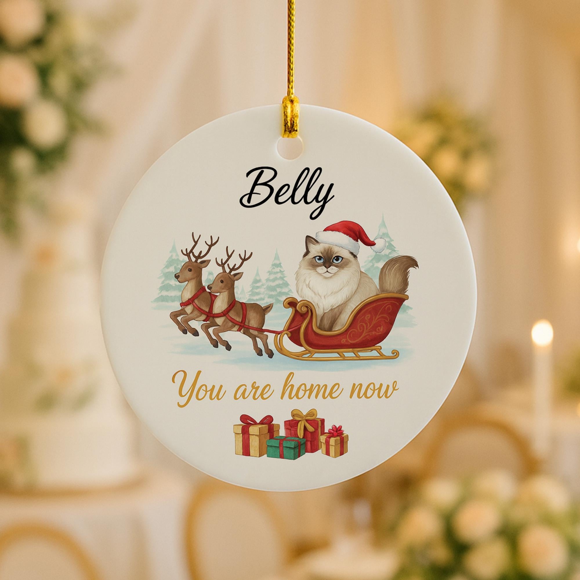 Personalized Ceramic Cat Ornament – Custom Pet Memorial Decoration with Sleigh and Reindeer